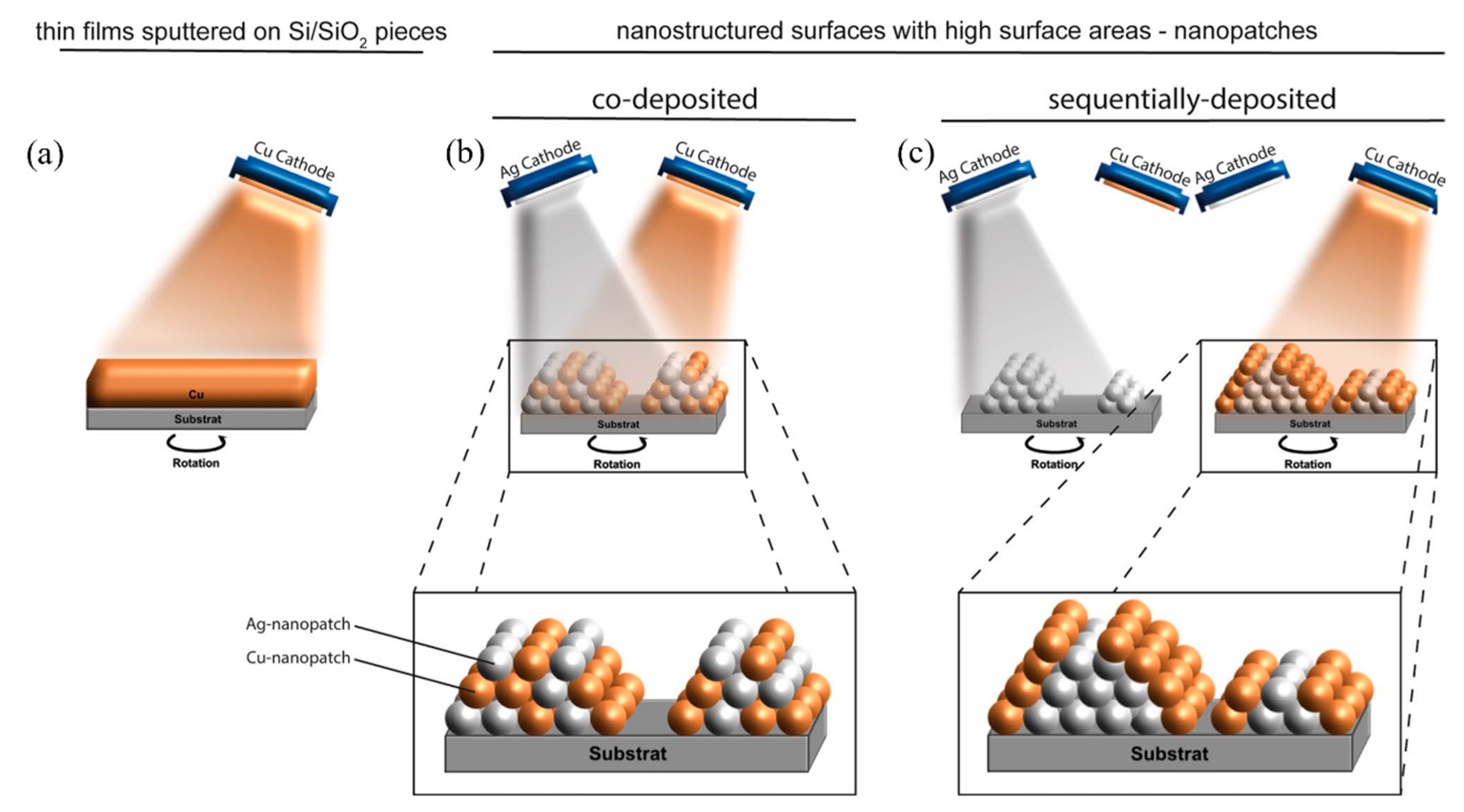 Nanomaterials 13 02406 g009