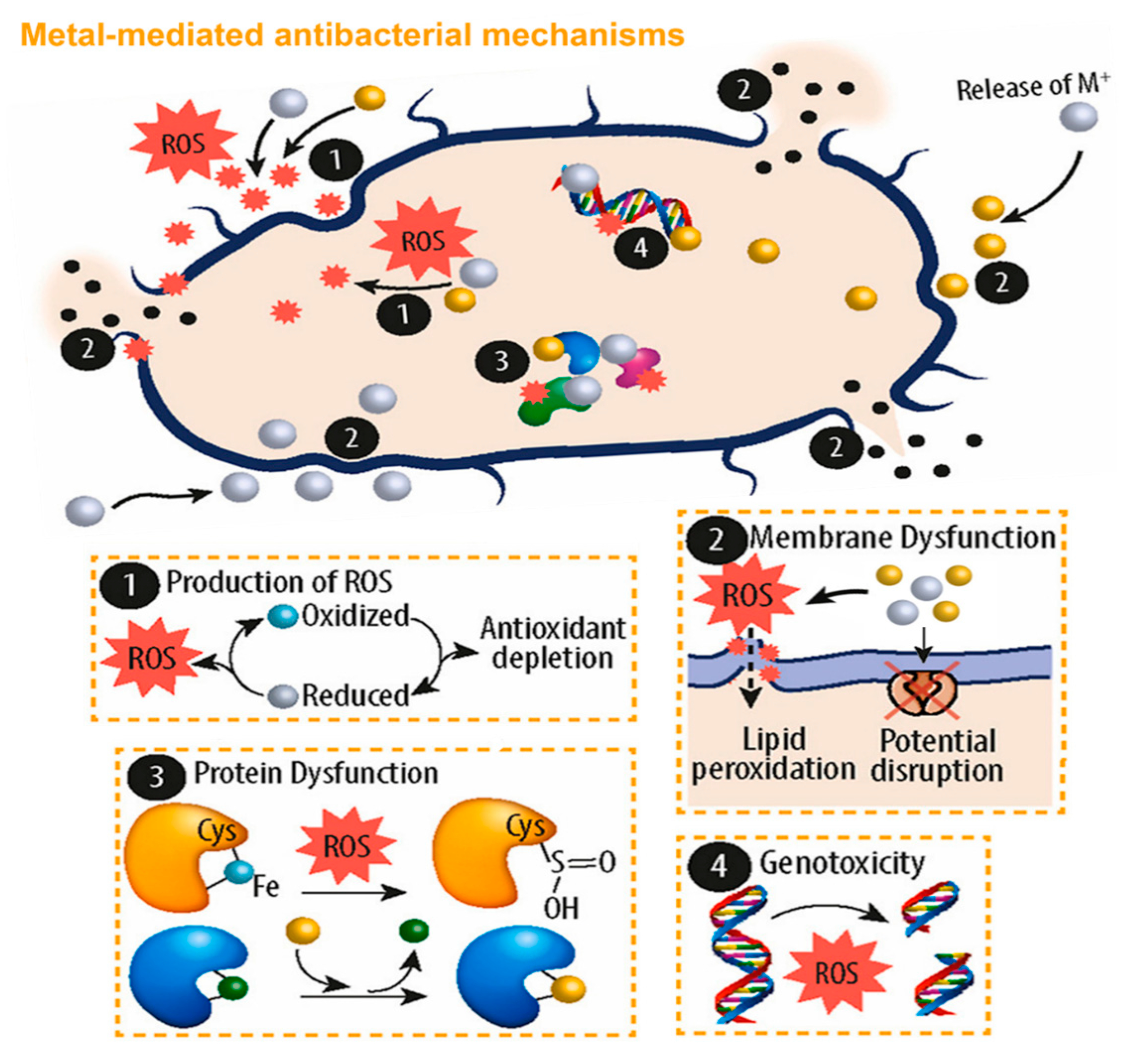 Nanomaterials 13 02406 g010