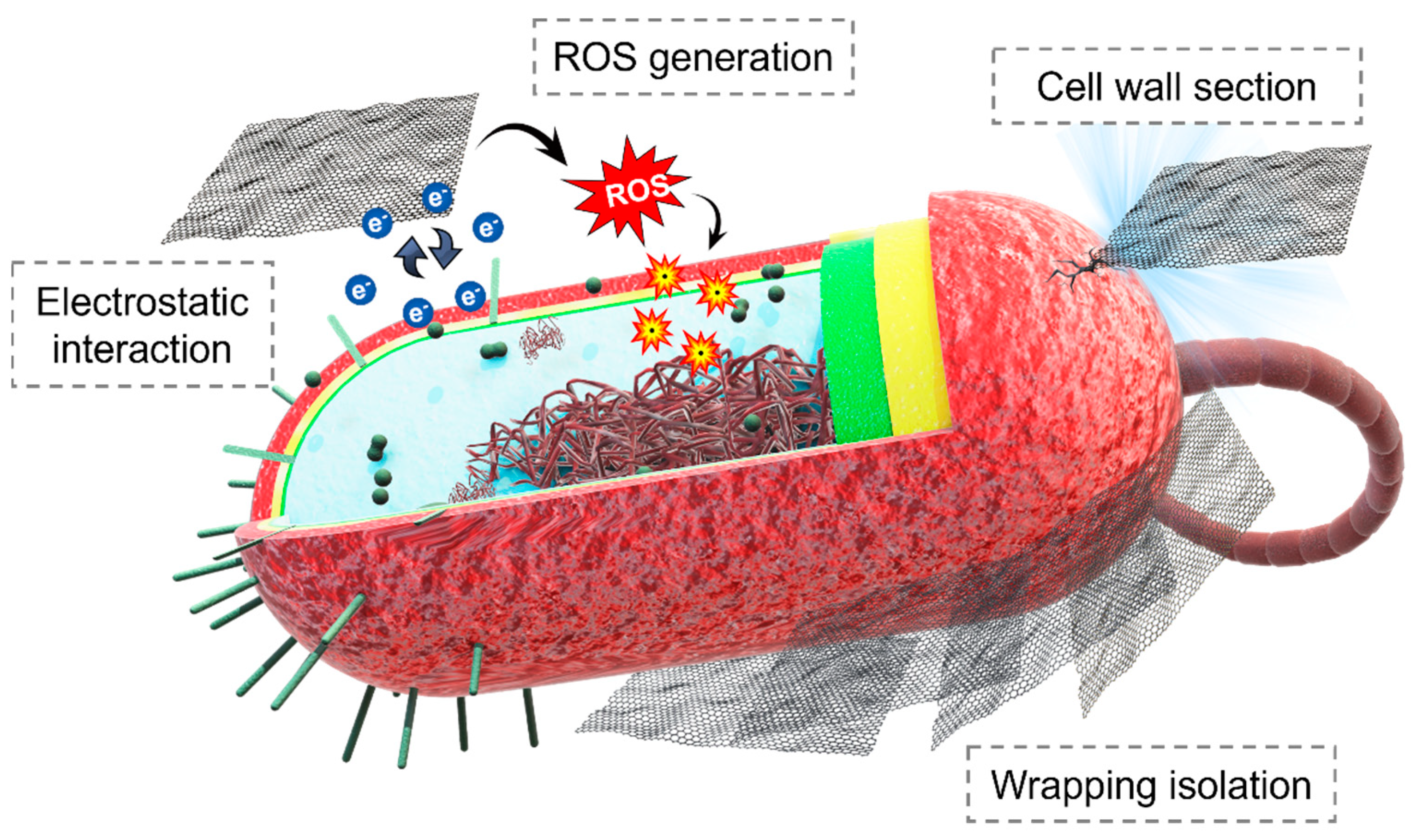 Nanomaterials 13 02406 g011
