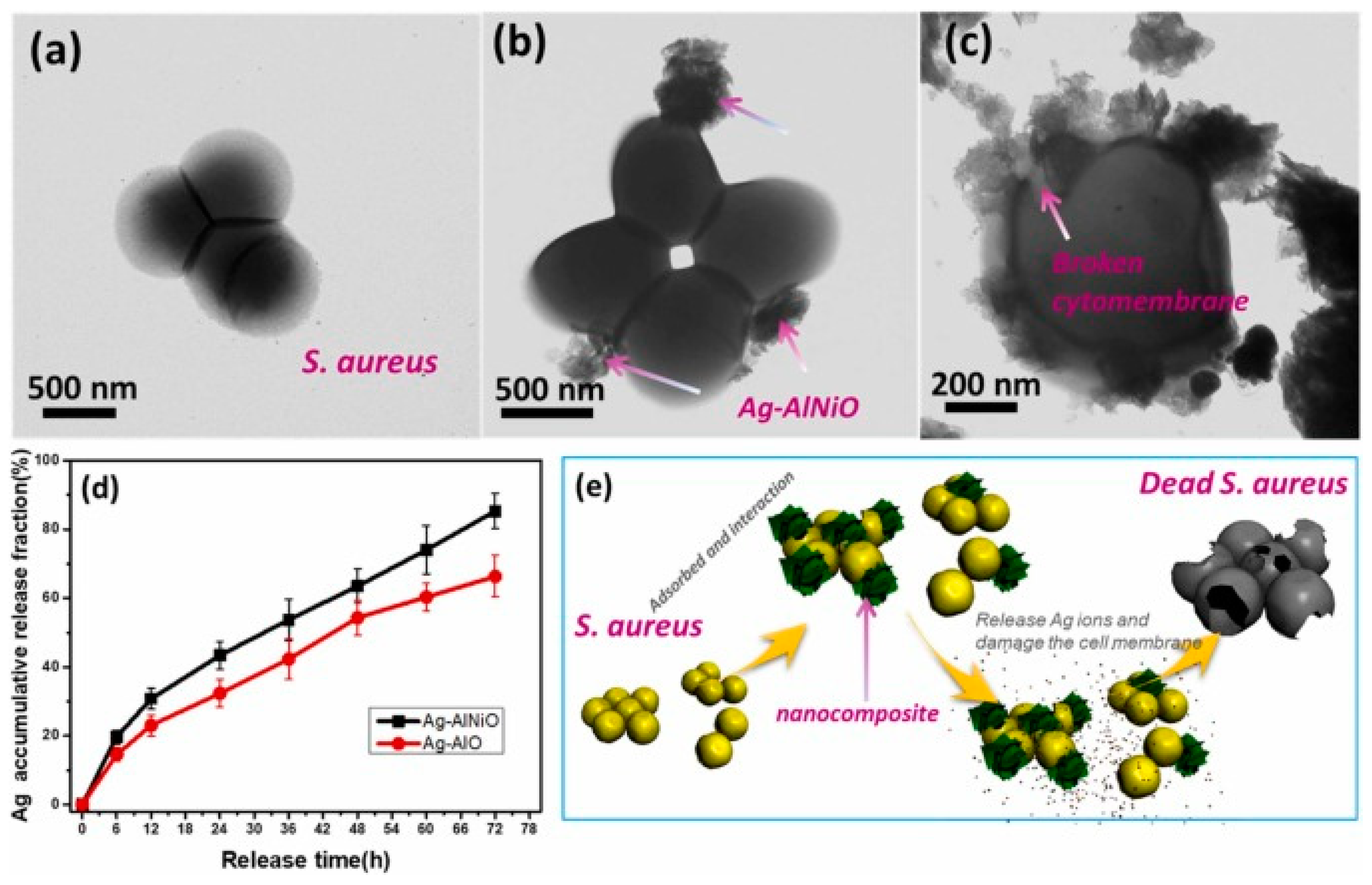 Nanomaterials 13 02406 g012