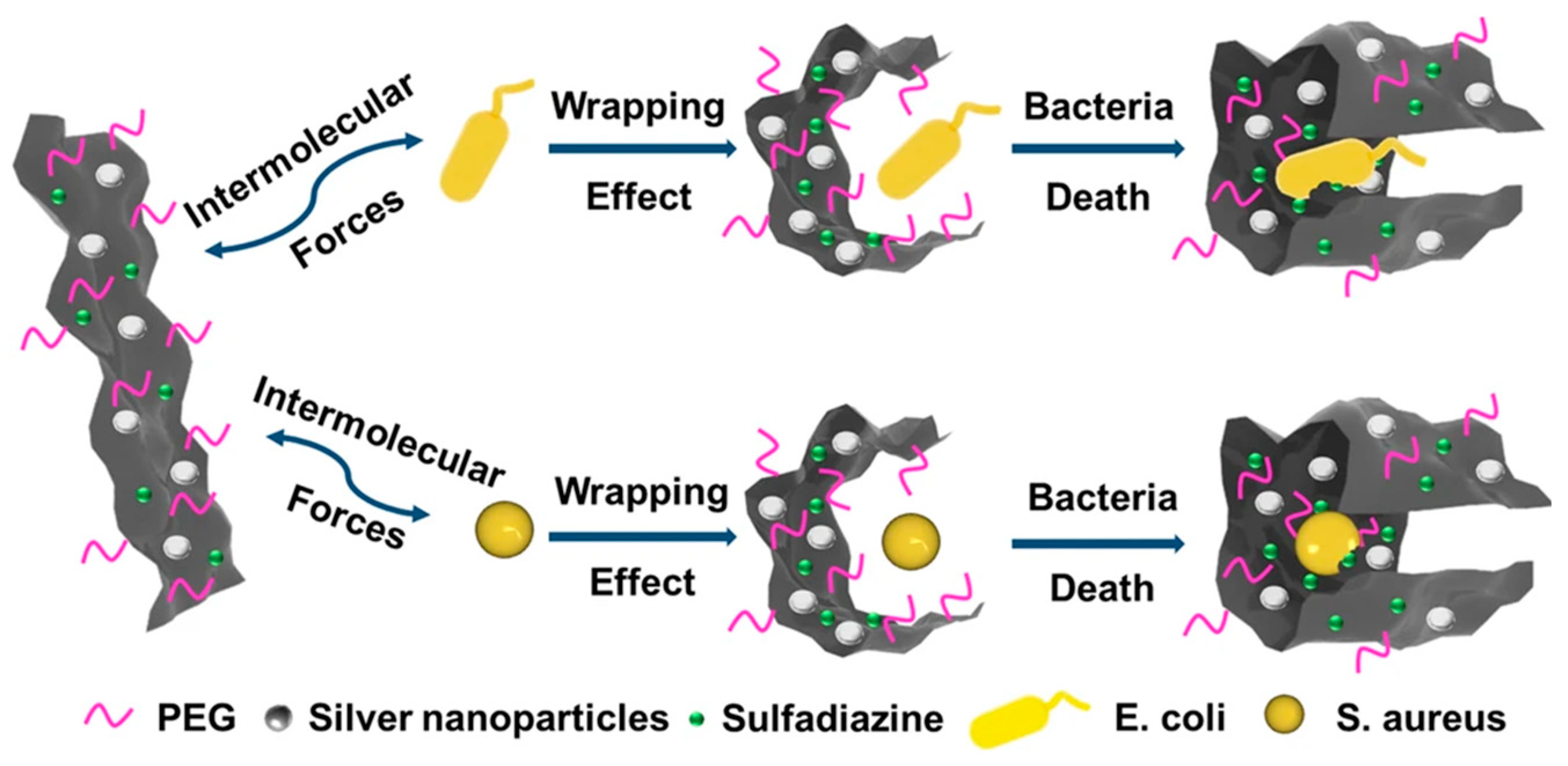 Nanomaterials 13 02406 g013