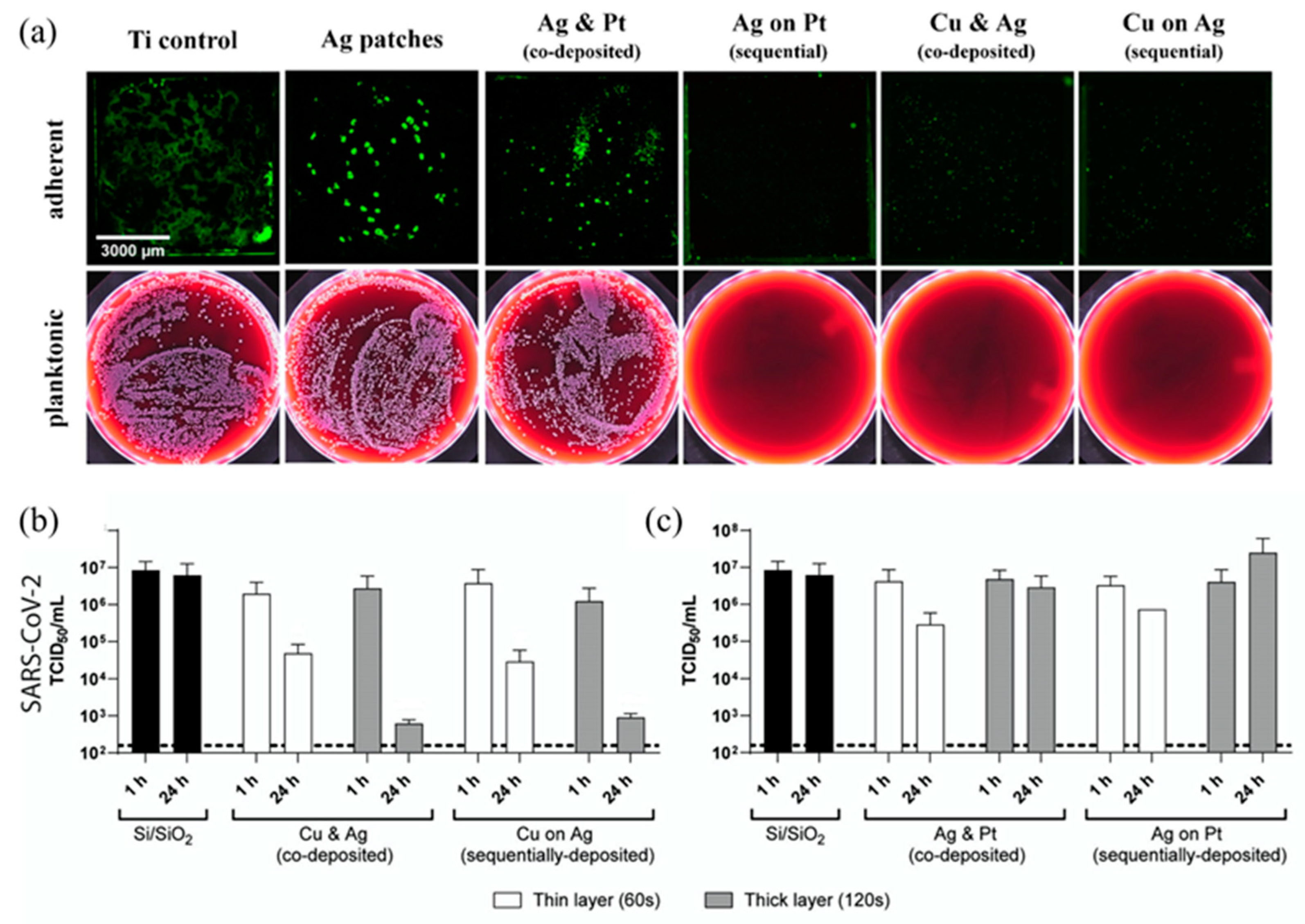 Nanomaterials 13 02406 g015