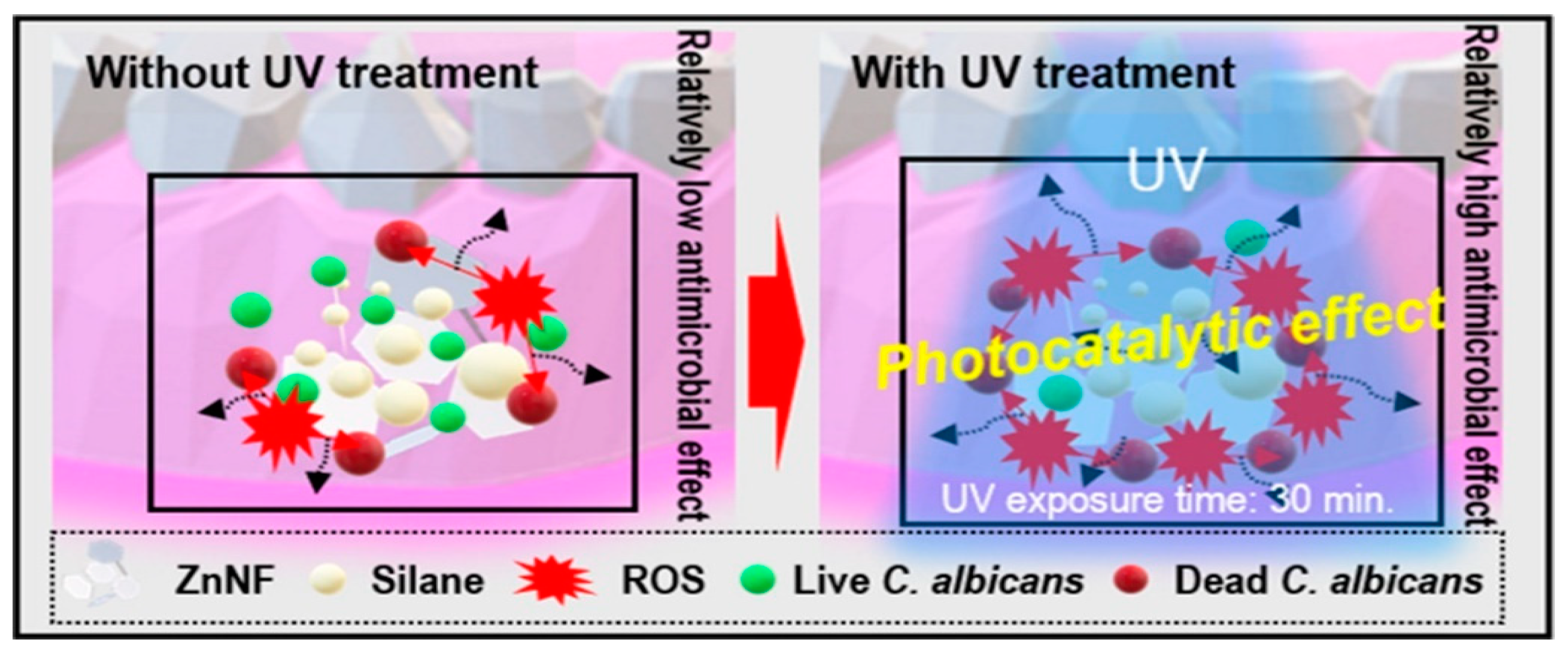 Nanomaterials 13 02406 g016