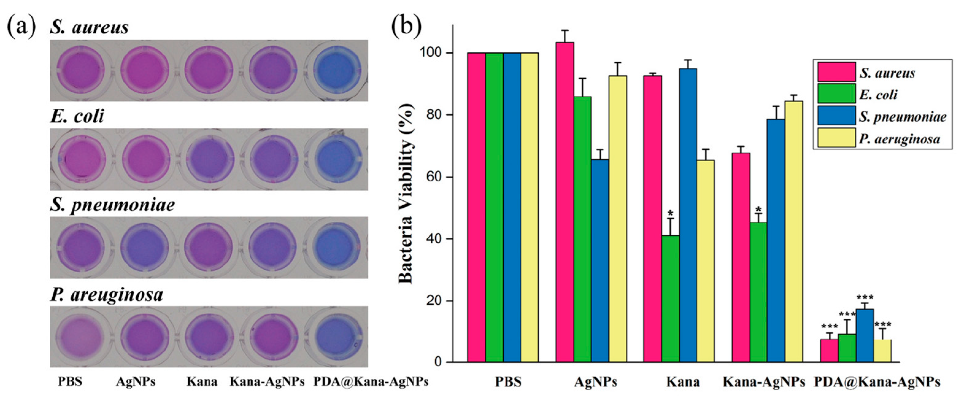 Nanomaterials 13 02406 g017