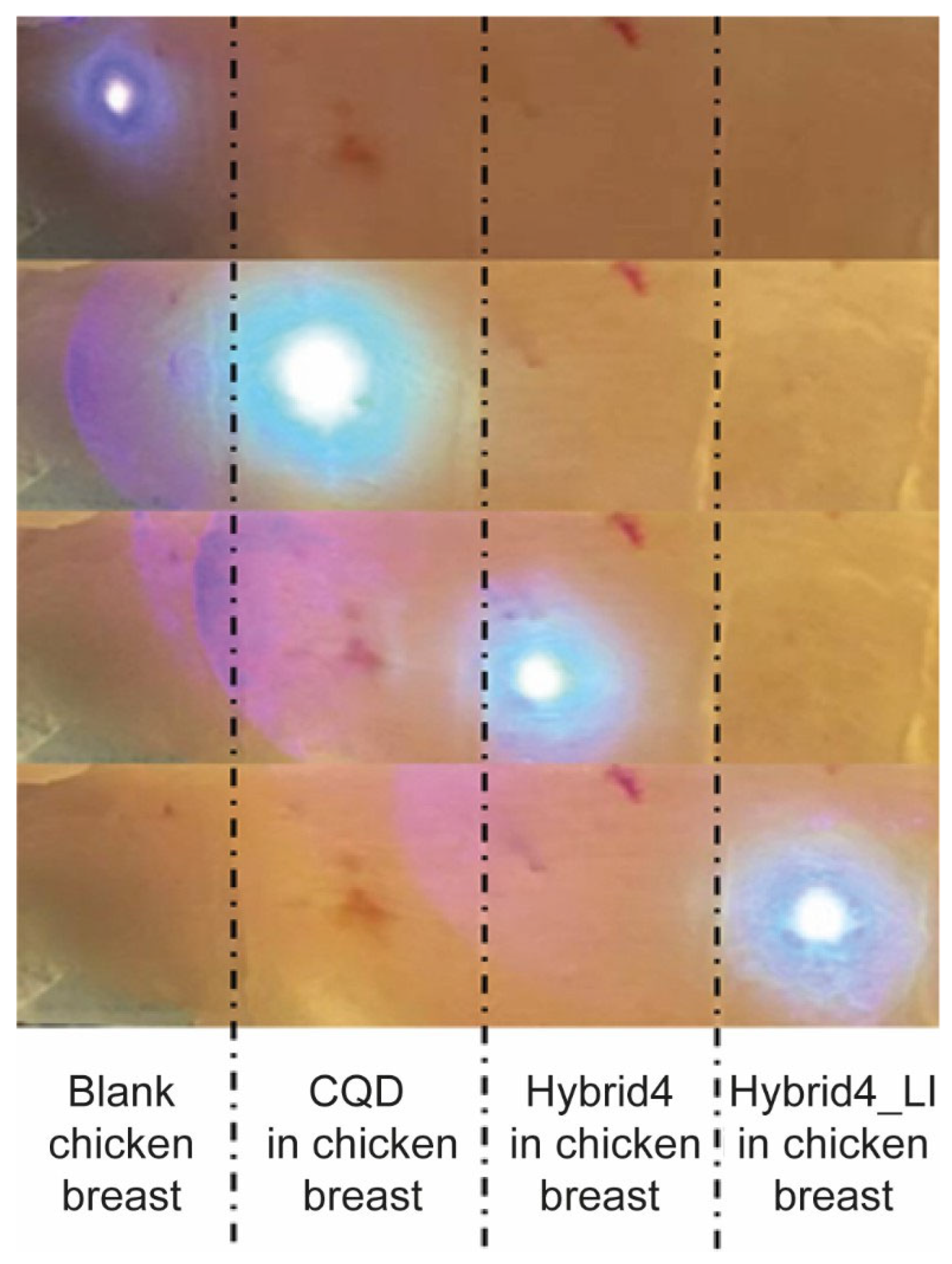 Nanomaterials 13 02409 g012