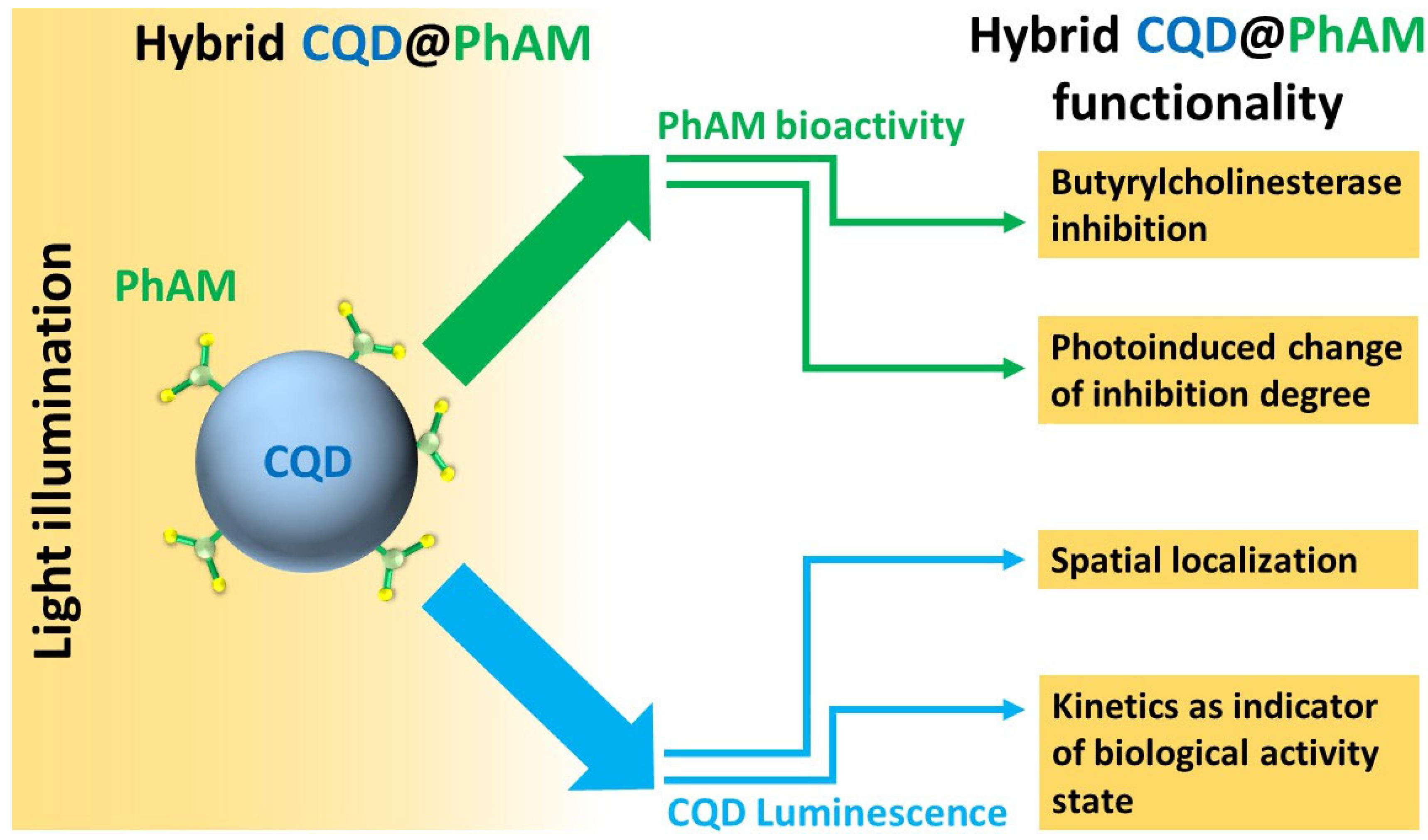 Nanomaterials 13 02409 g014