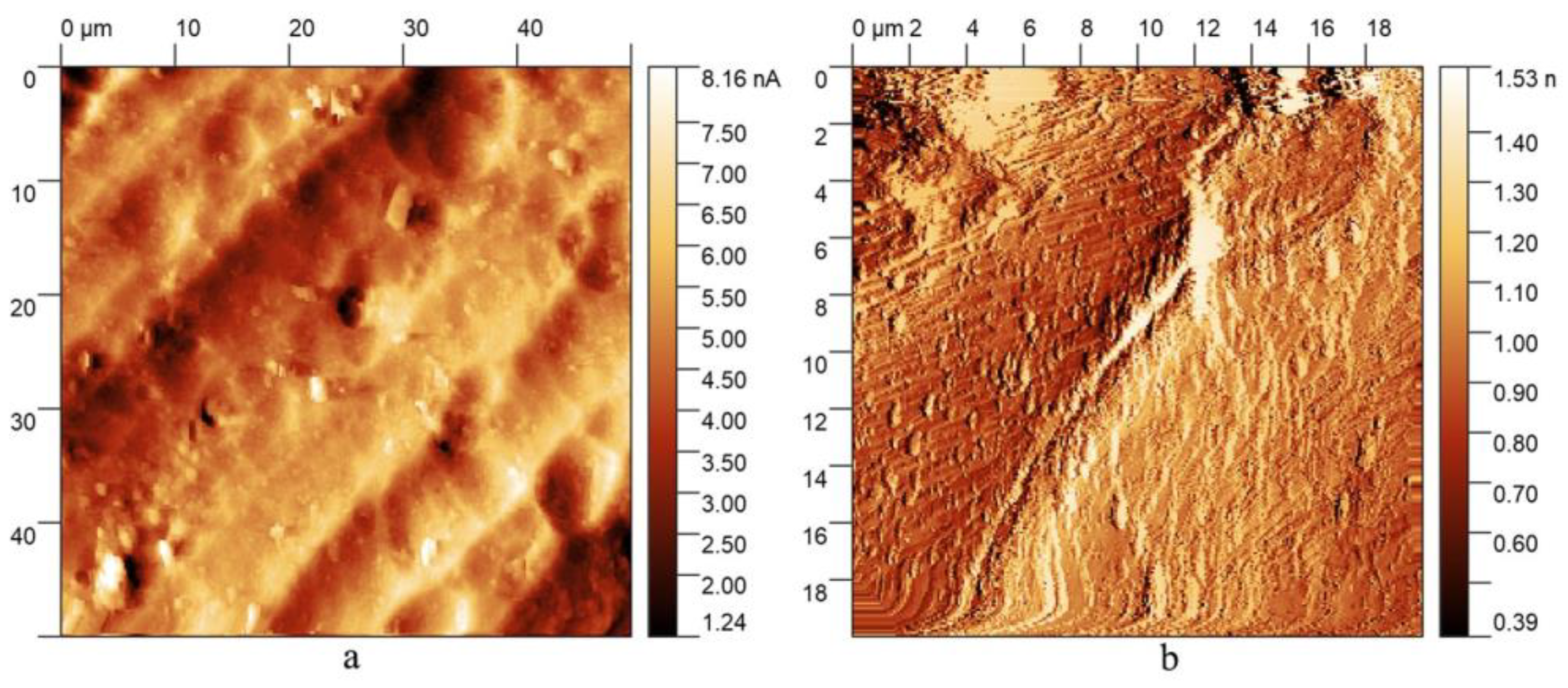 Nanomaterials 13 02413 g001