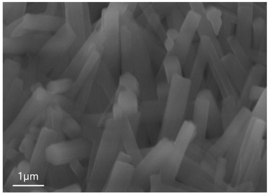 Synthesis under Normal Conditions and Morphology and Composition of ...