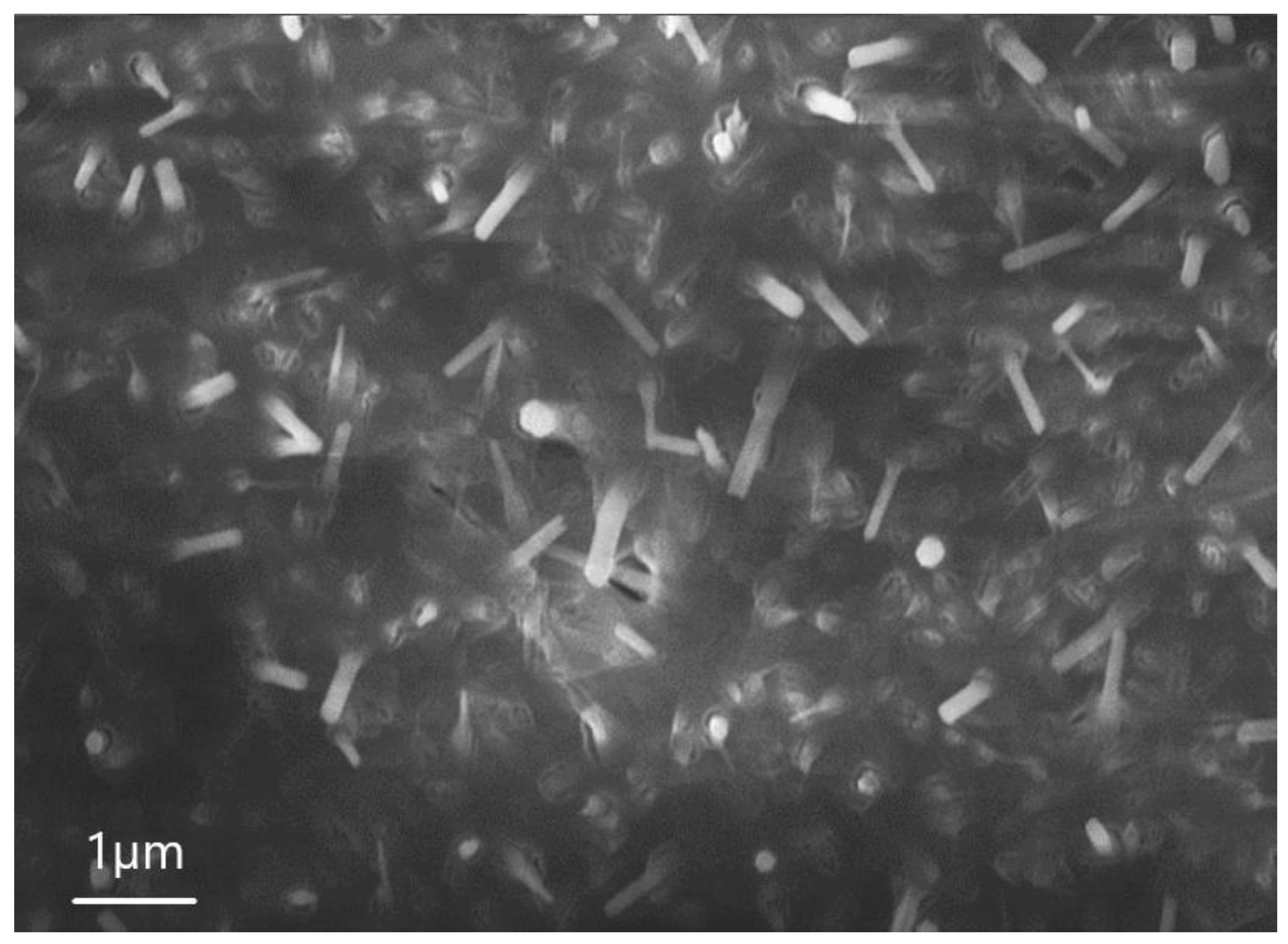 Nanomaterials 13 02413 g005