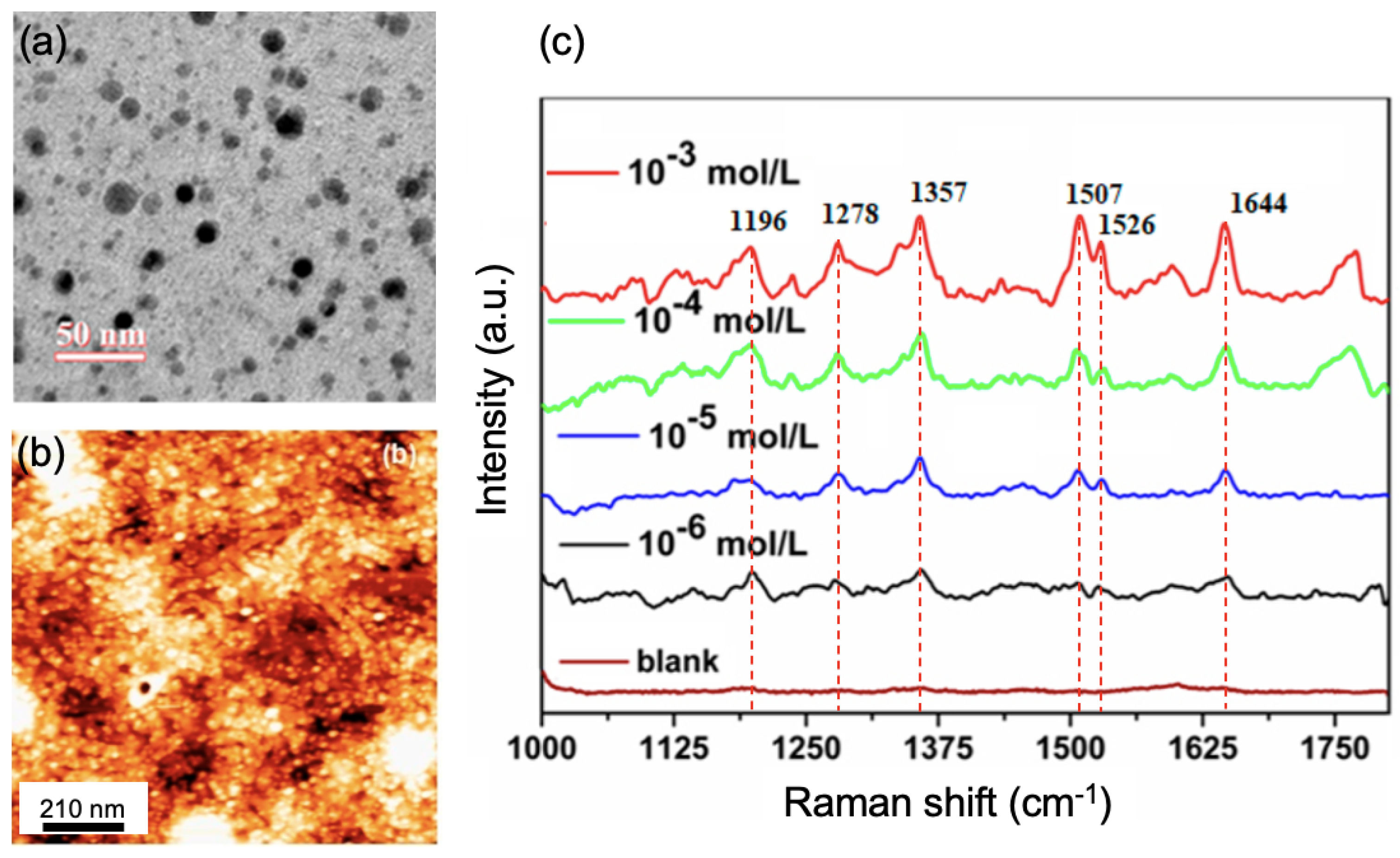 Nanomaterials 13 02417 g001