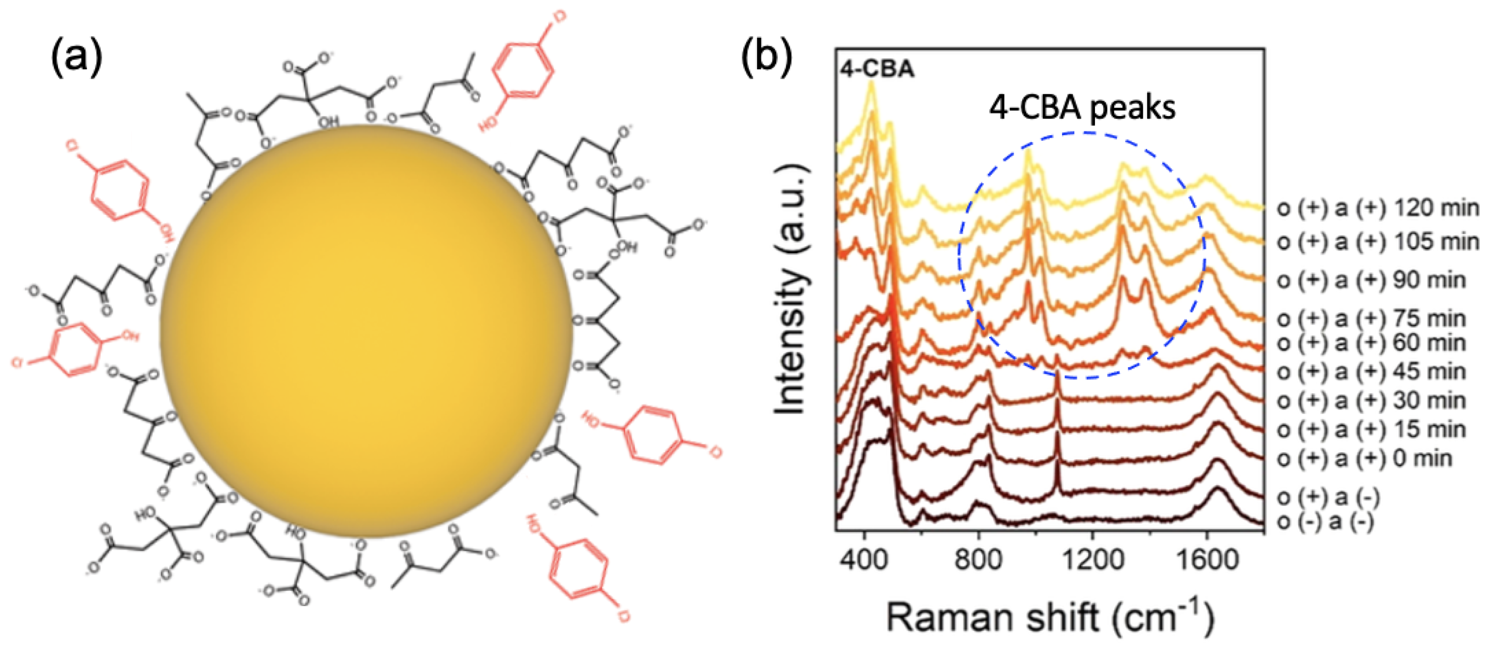 Nanomaterials 13 02417 g003