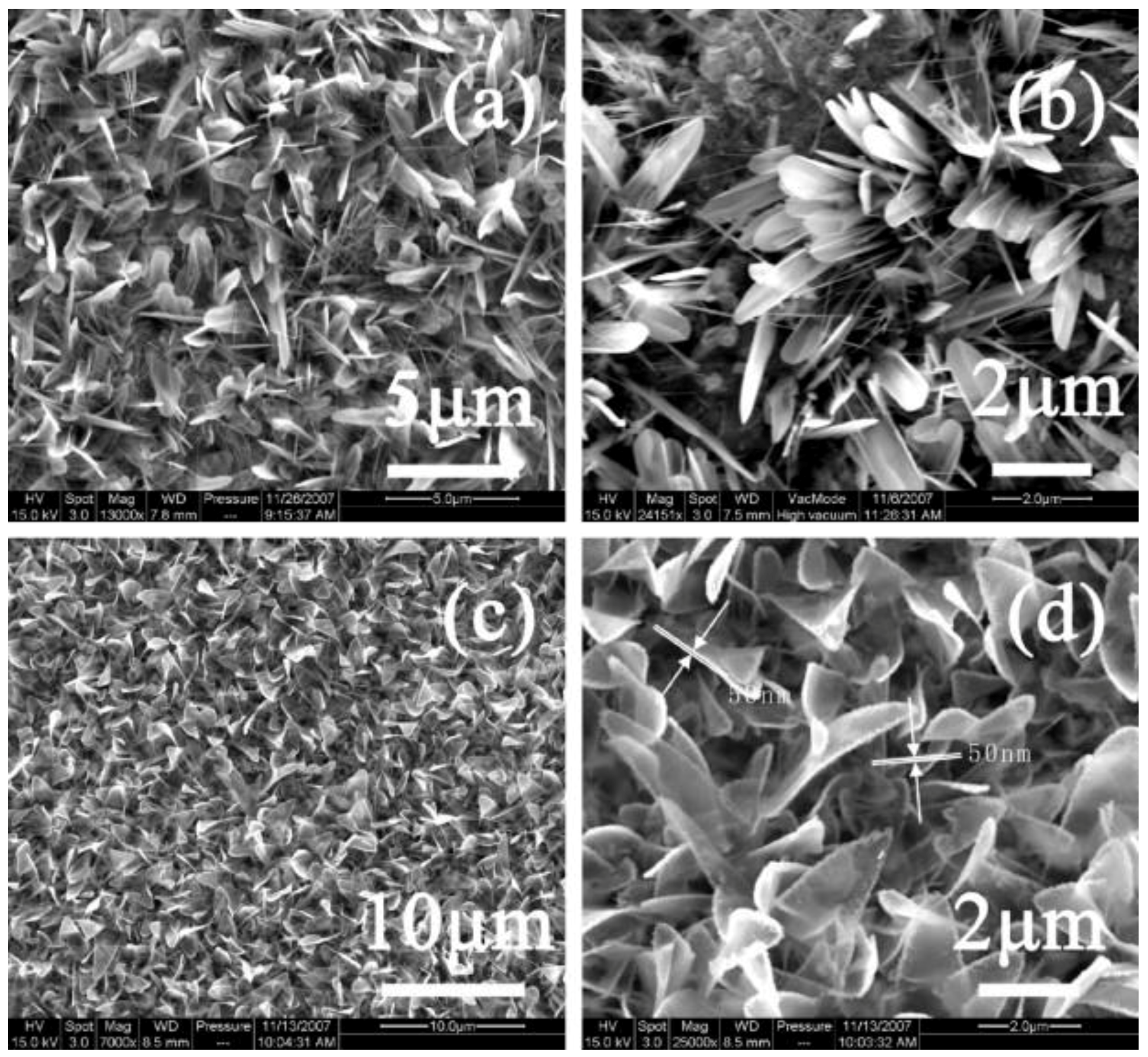 Nanomaterials 13 02418 g010 Nanomaterials 13 02418 g010