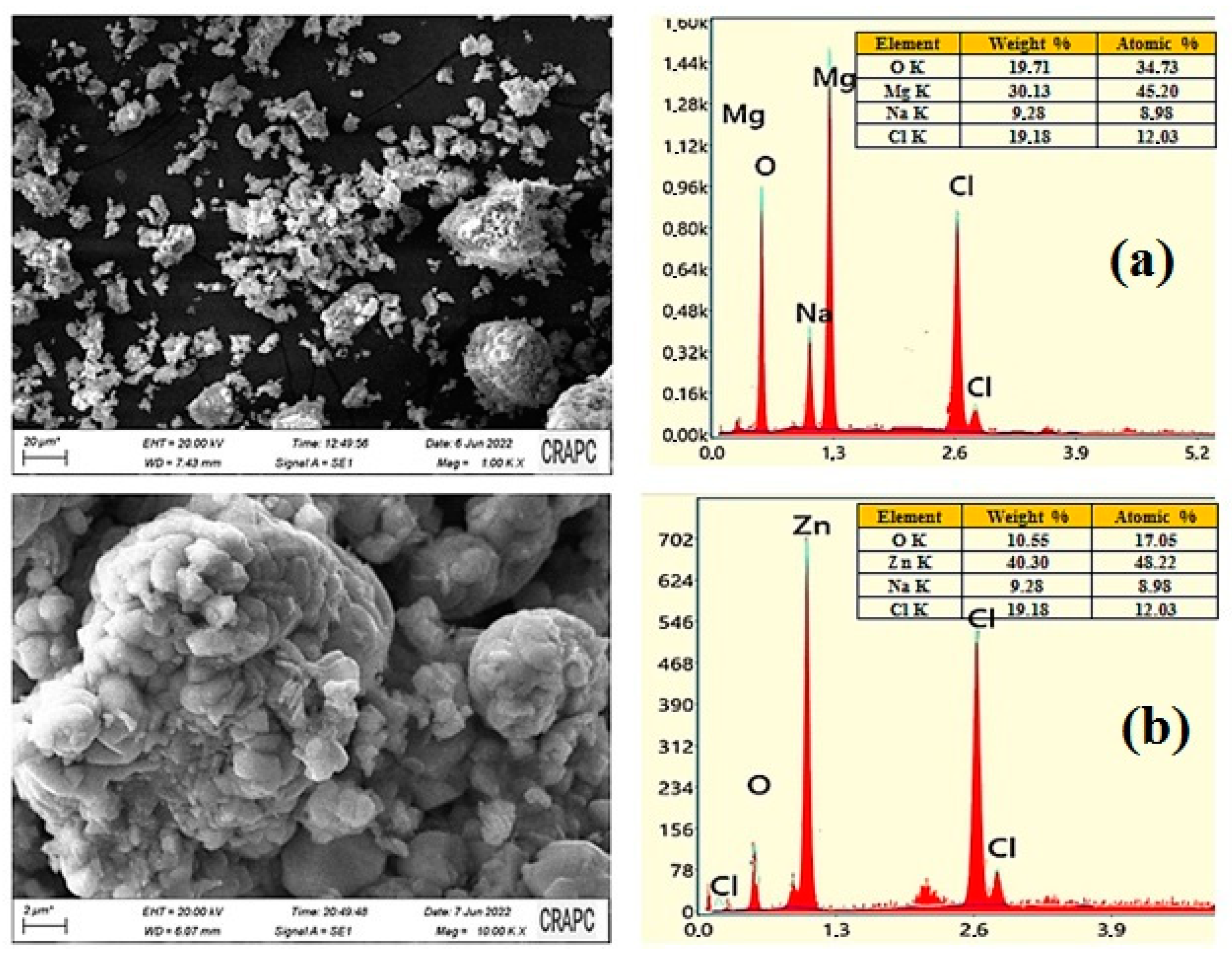 Nanomaterials 13 02425 g005