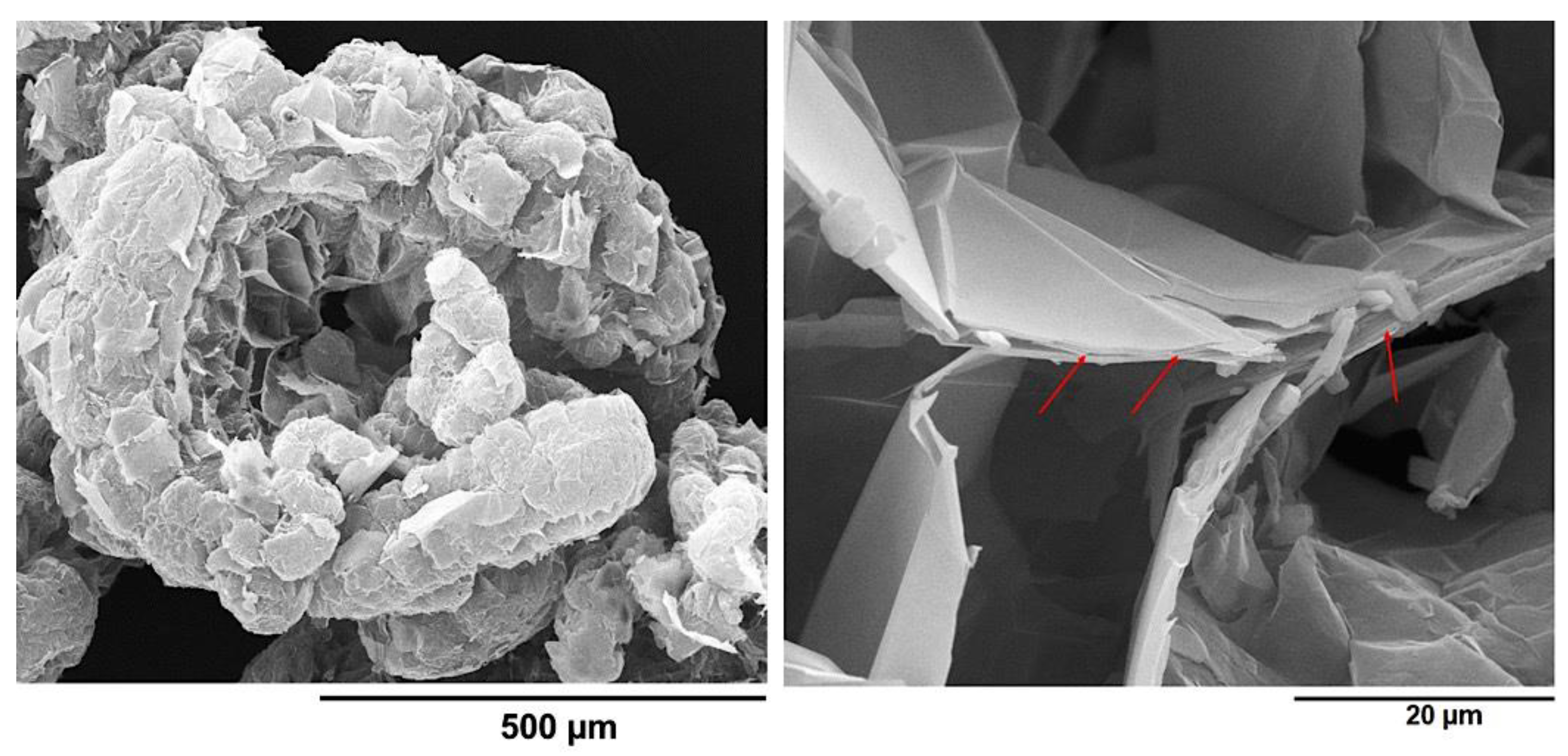 Nanomaterials 13 02427 g012