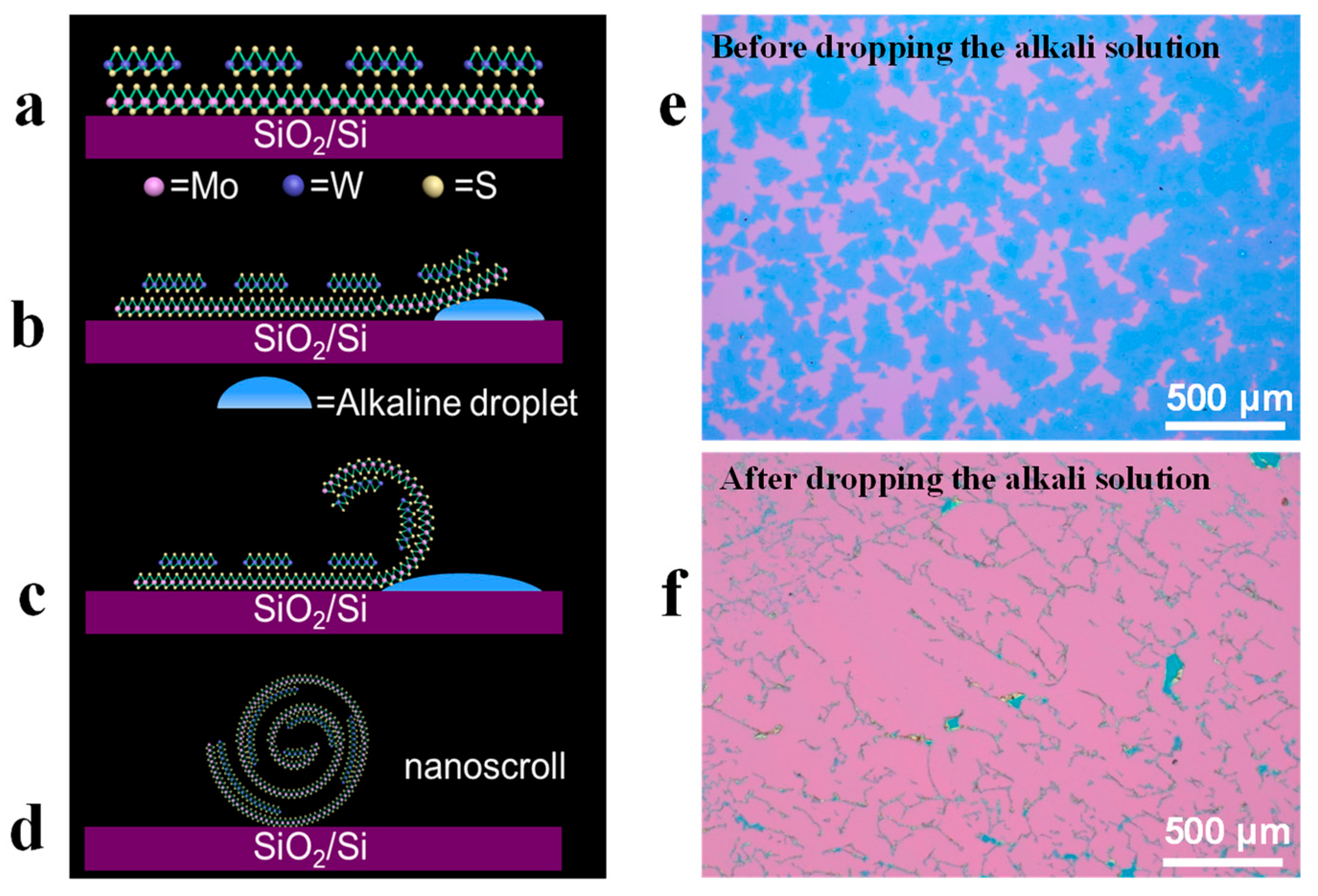 Nanomaterials 13 02433 g004 Nanomaterials 13 02433 g004