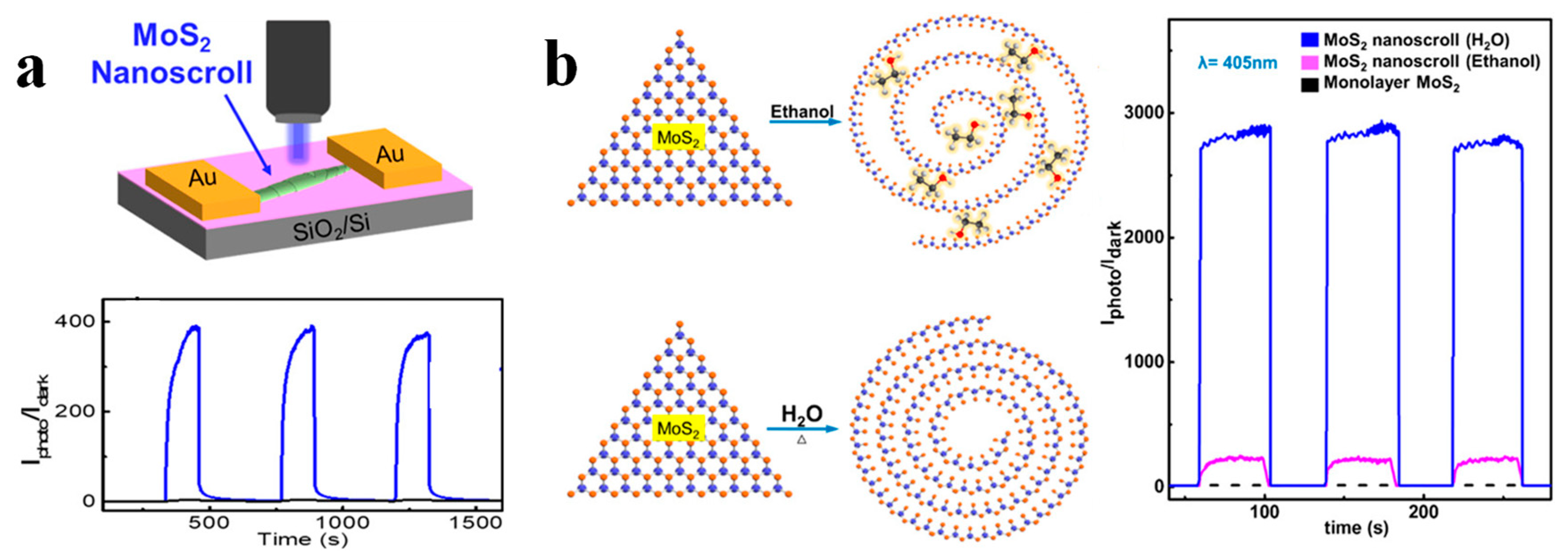 Nanomaterials 13 02433 g011 Nanomaterials 13 02433 g011