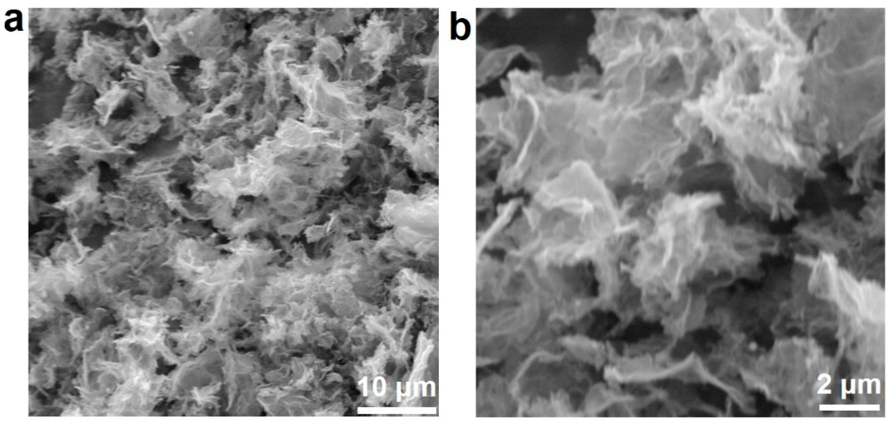 Nanomaterials 13 02434 g002