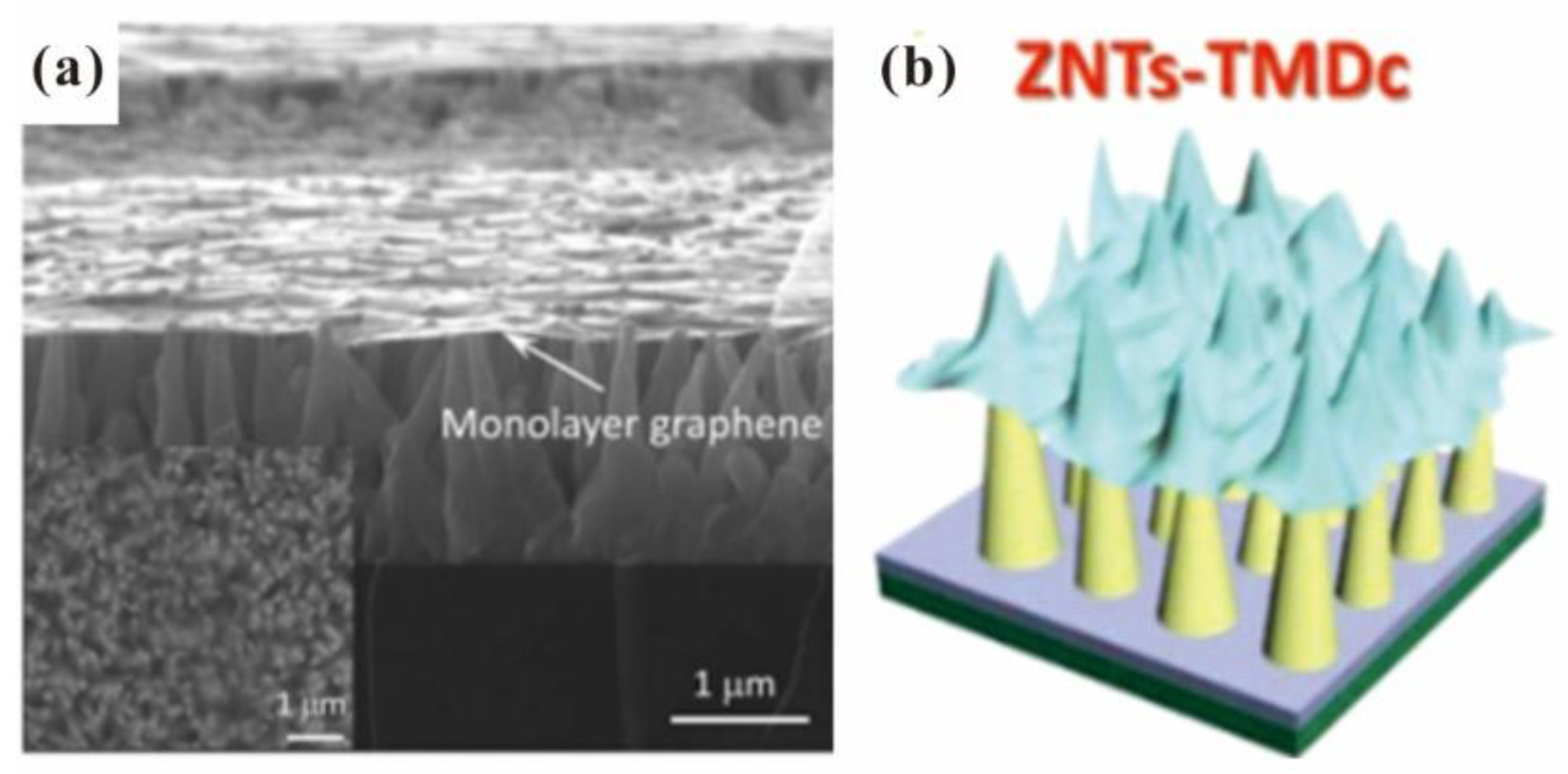 Nanomaterials 13 02437 g003 Nanomaterials 13 02437 g003