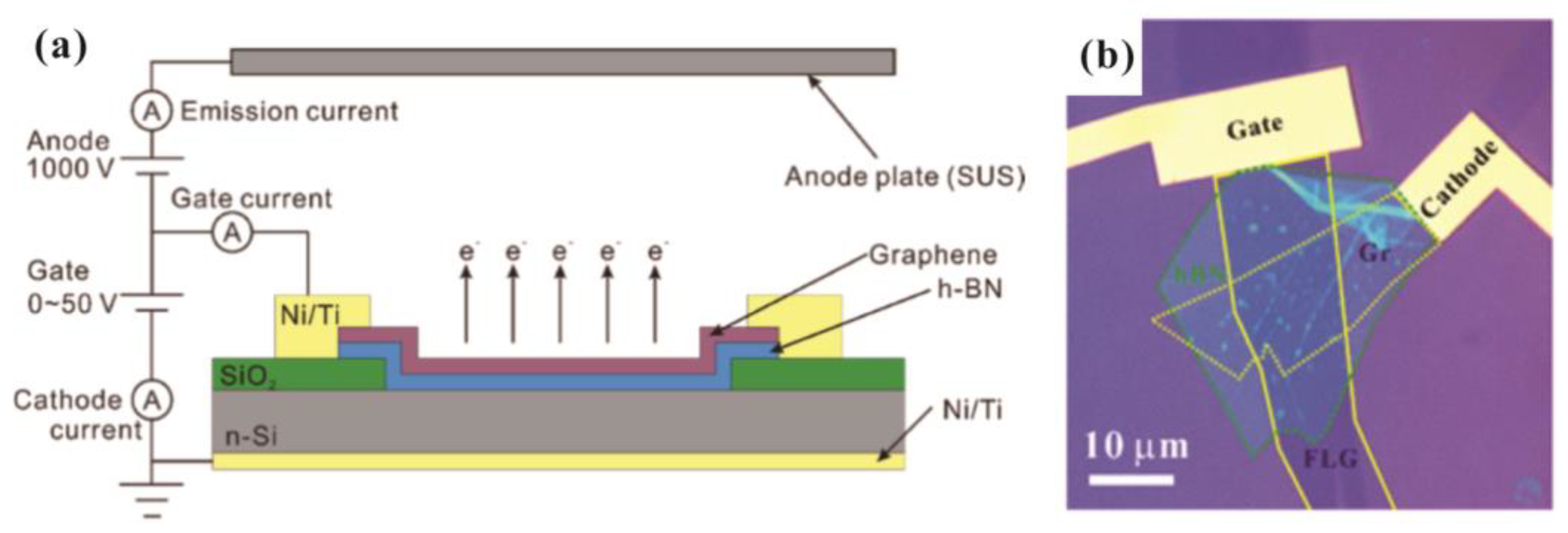 Nanomaterials 13 02437 g004 Nanomaterials 13 02437 g004