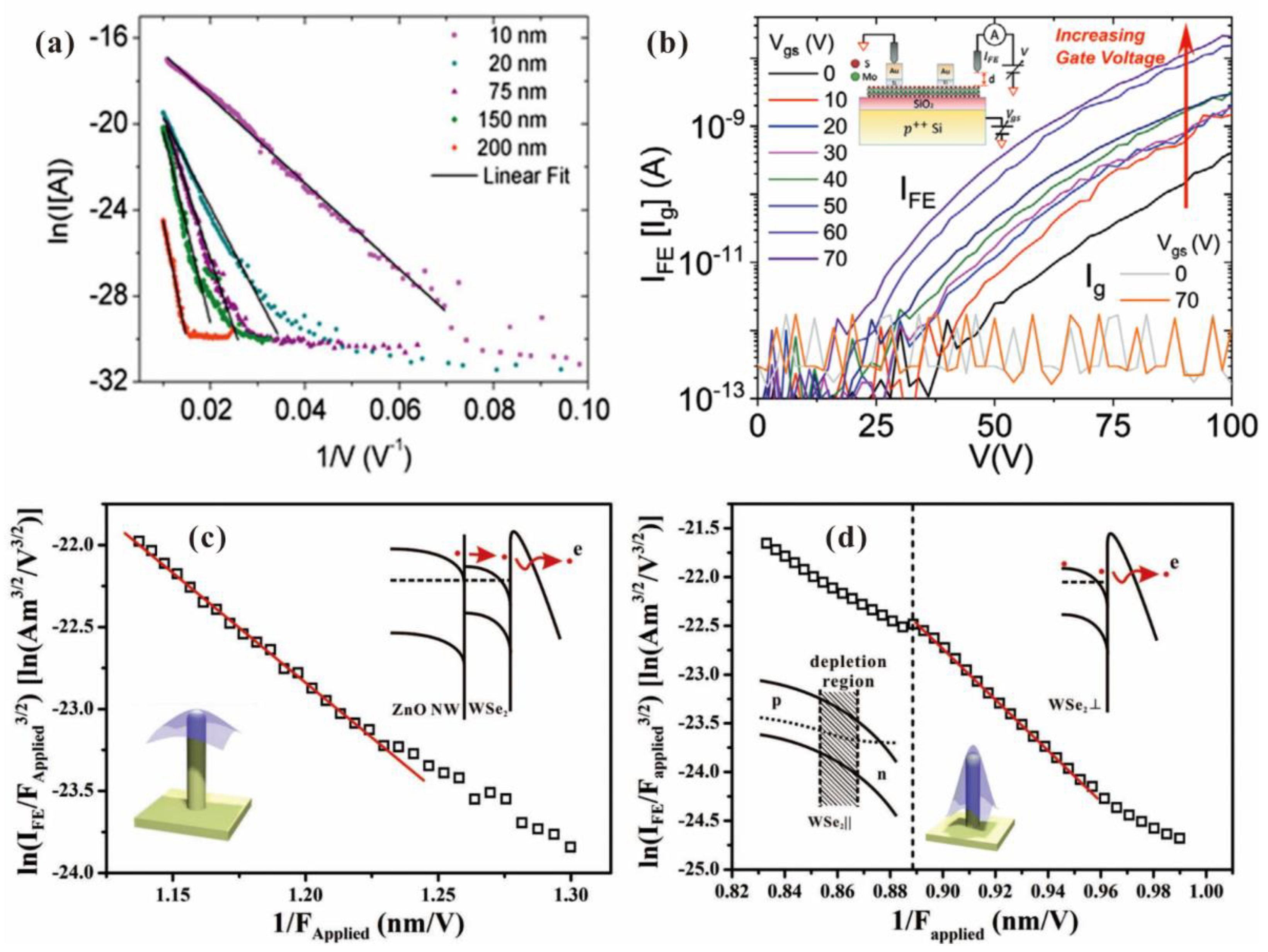 Nanomaterials 13 02437 g011 Nanomaterials 13 02437 g011