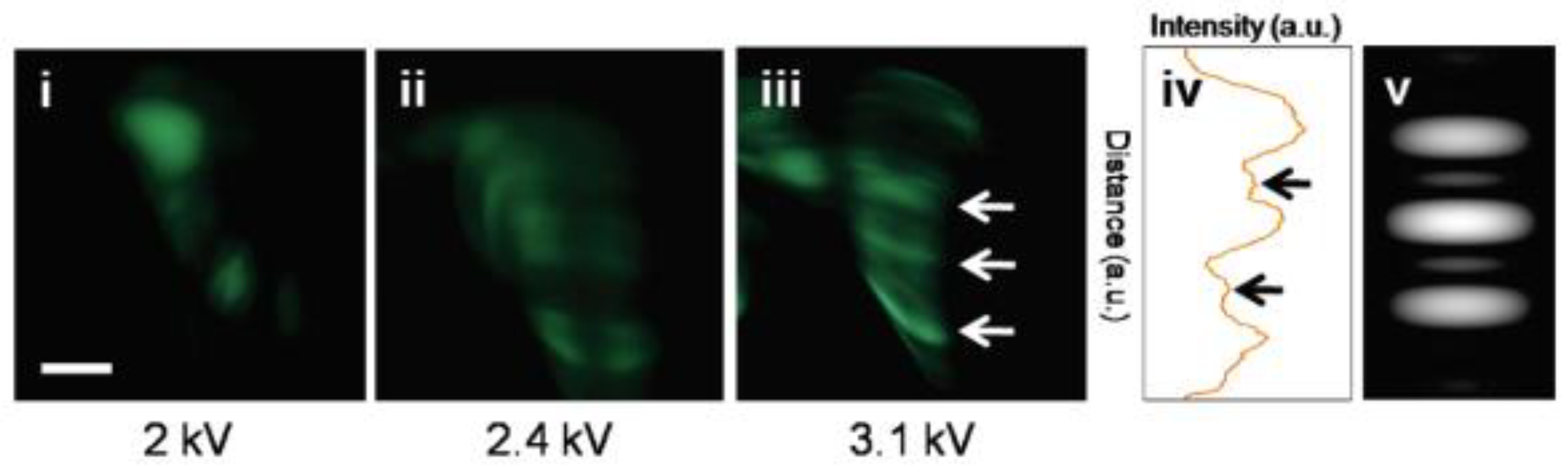Nanomaterials 13 02437 g012 Nanomaterials 13 02437 g012