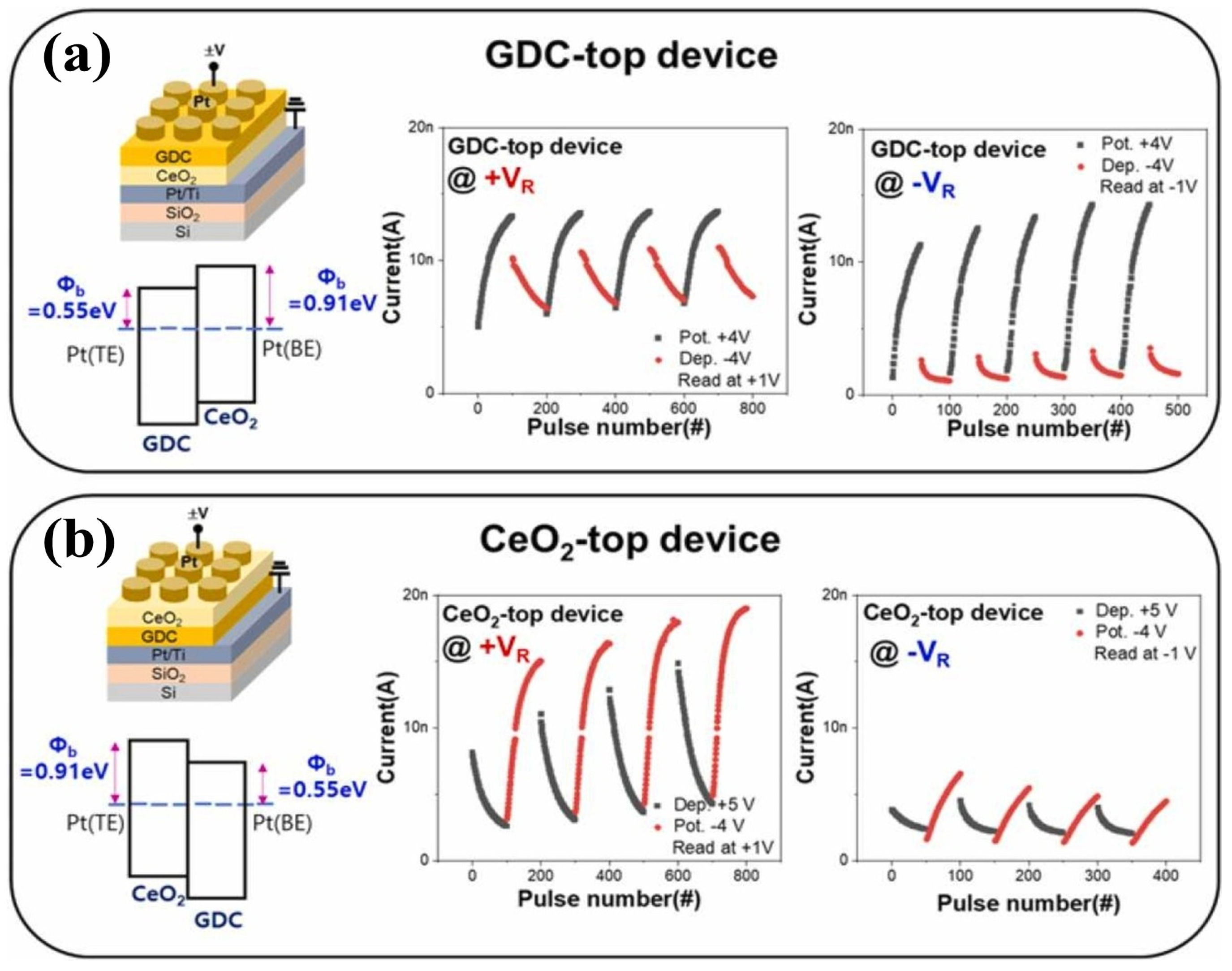 Nanomaterials 13 02443 g019