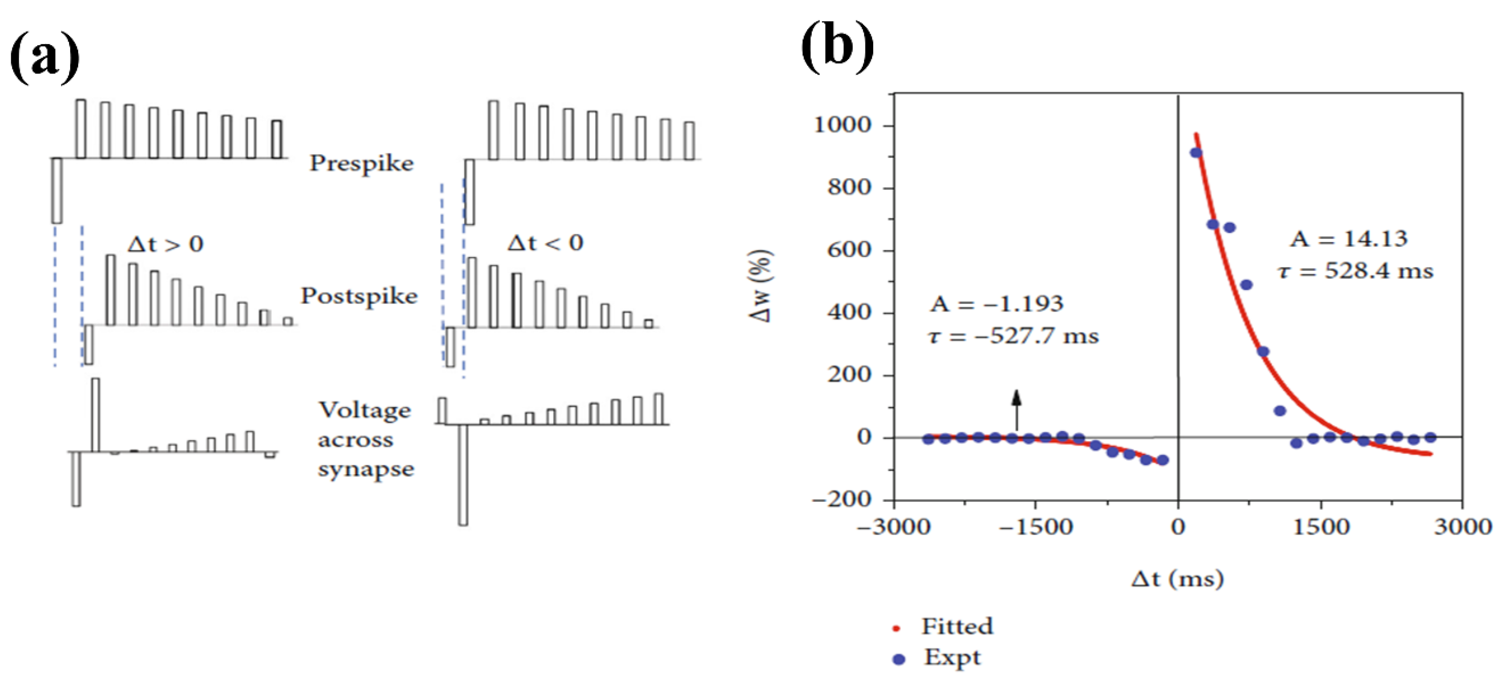 Nanomaterials 13 02443 g020