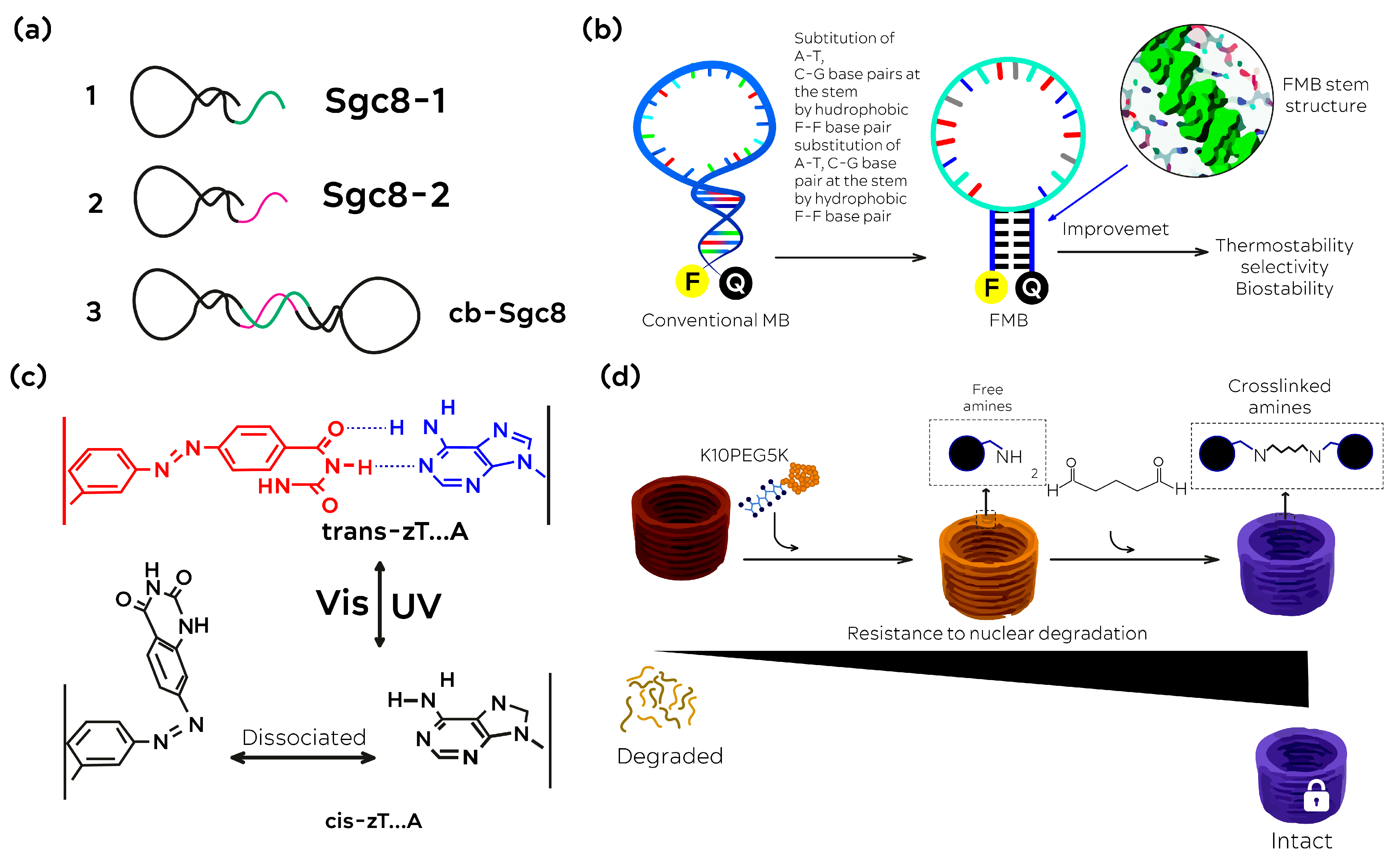 Nanomaterials 13 02449 g003