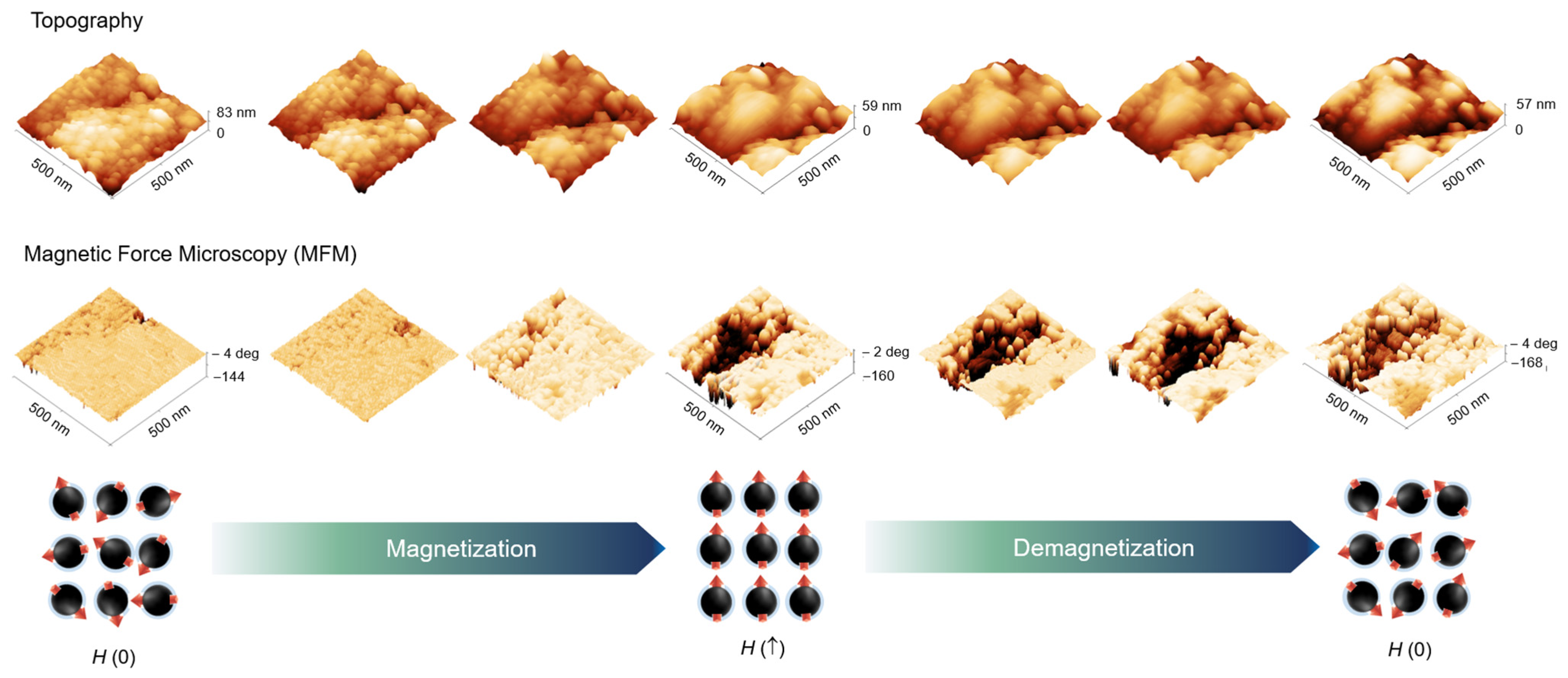 Nanomaterials 13 02450 g006