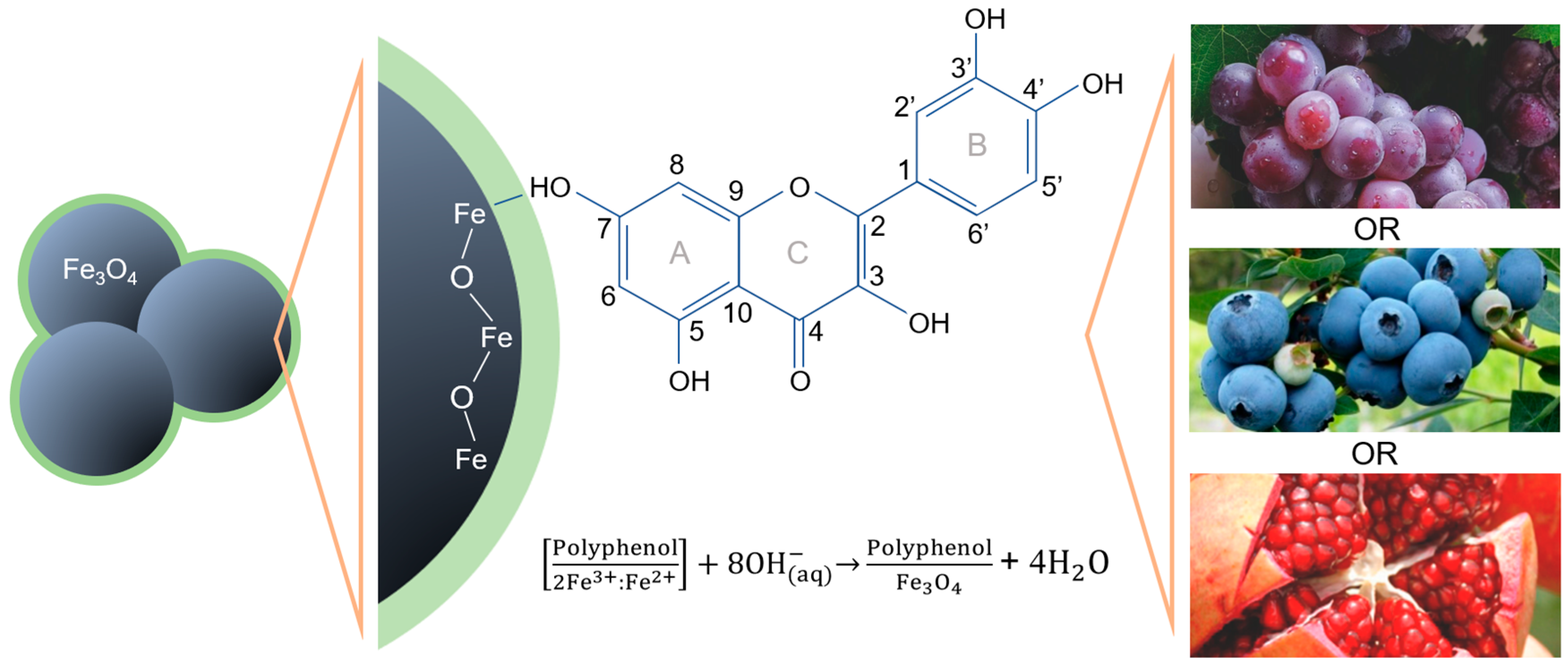 Nanomaterials 13 02450 sch001