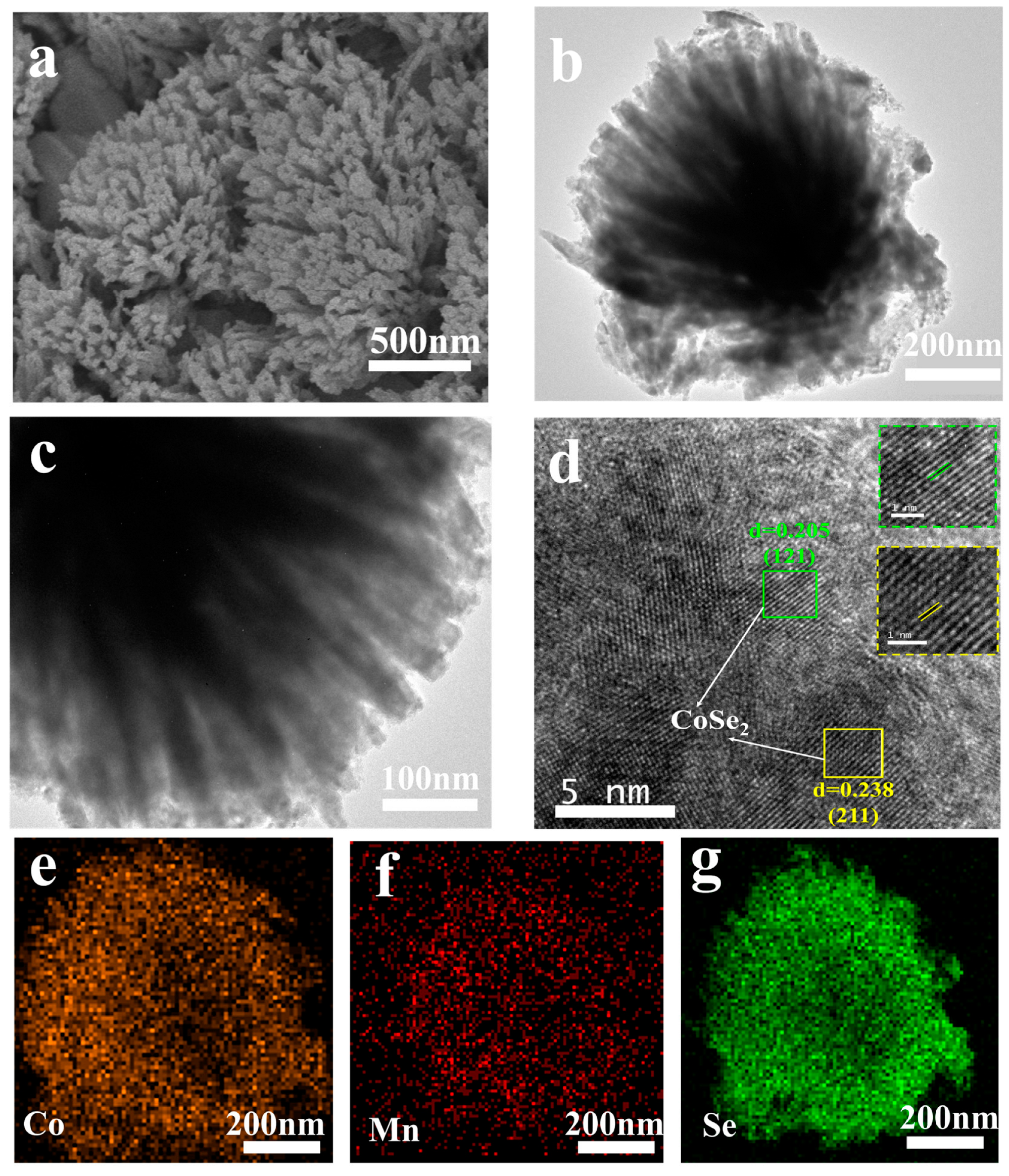 Nanomaterials 13 02452 g002