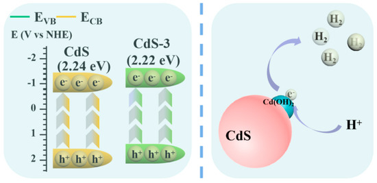 あお様 ニットスクラブ 男女兼用[AZ861411/アイトス]｜介護ユニフォーム
