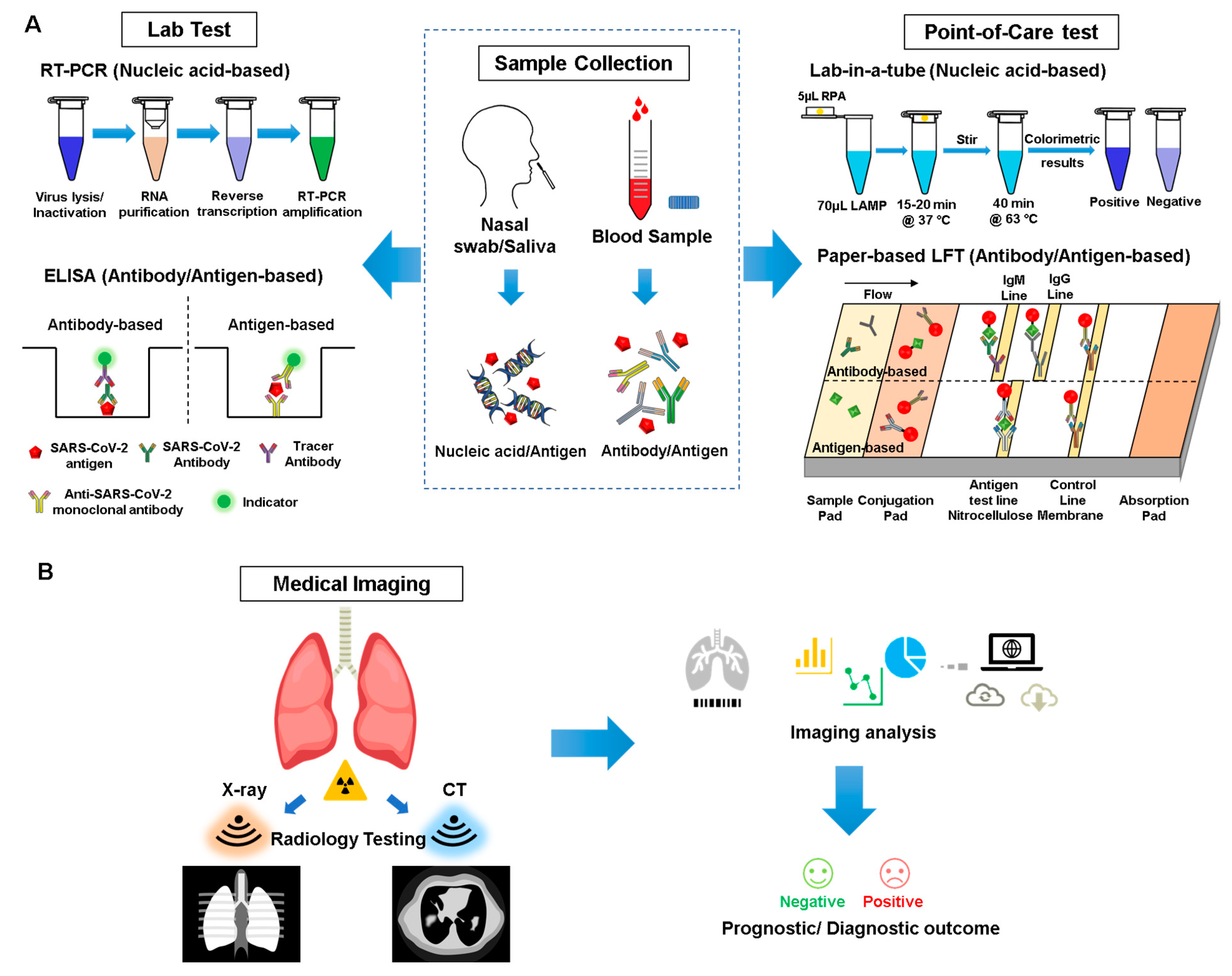 Nanomaterials 13 02455 g002