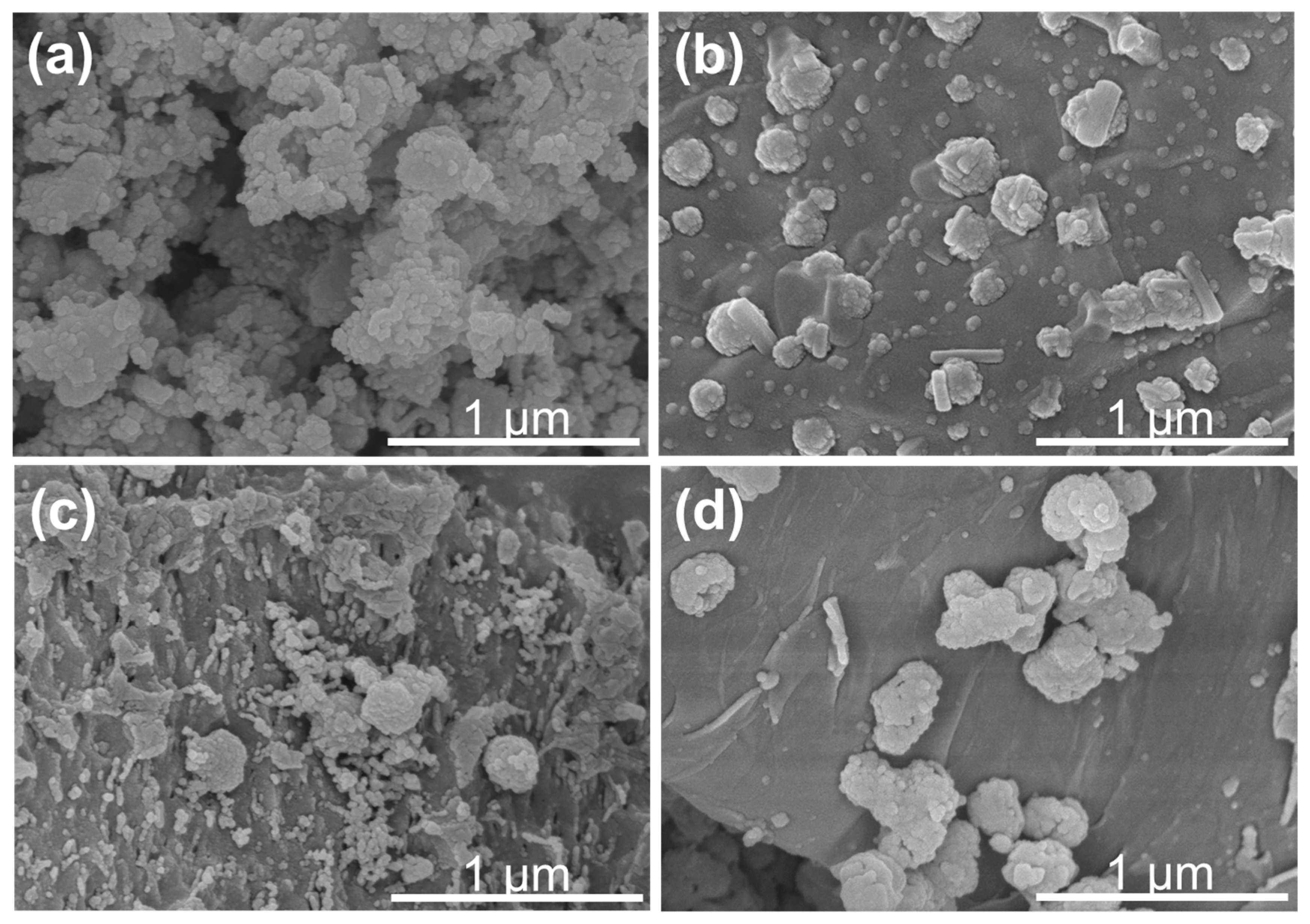 Nanomaterials 13 02463 g003