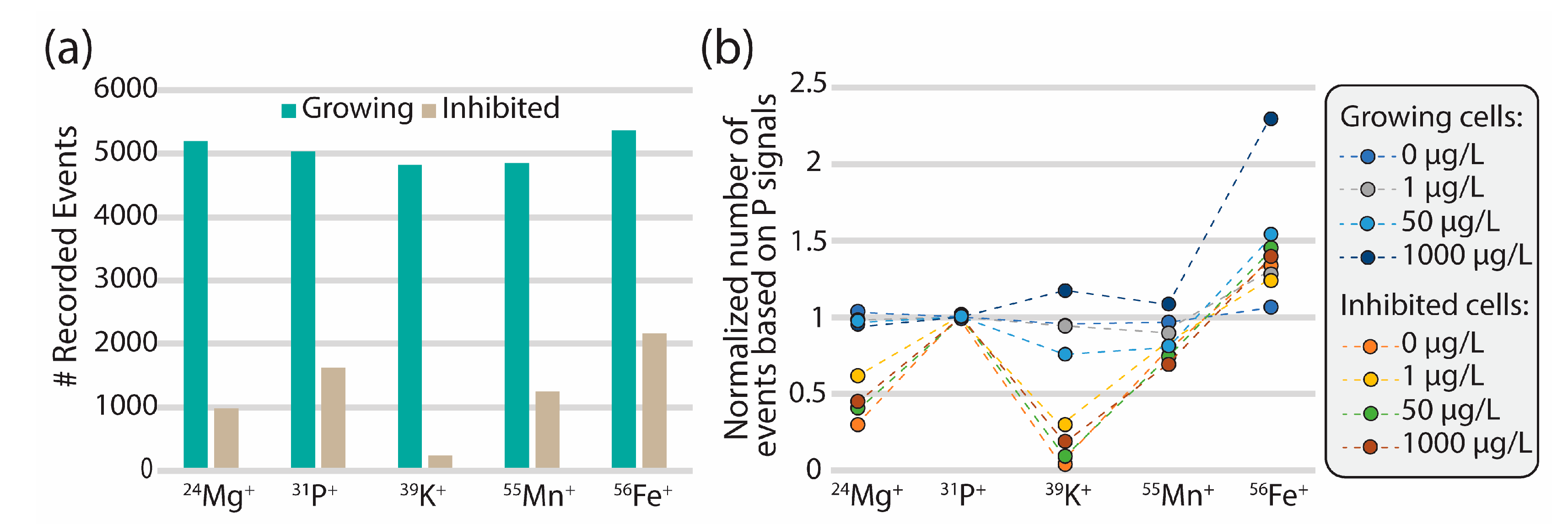 Nanomaterials 13 02468 g001