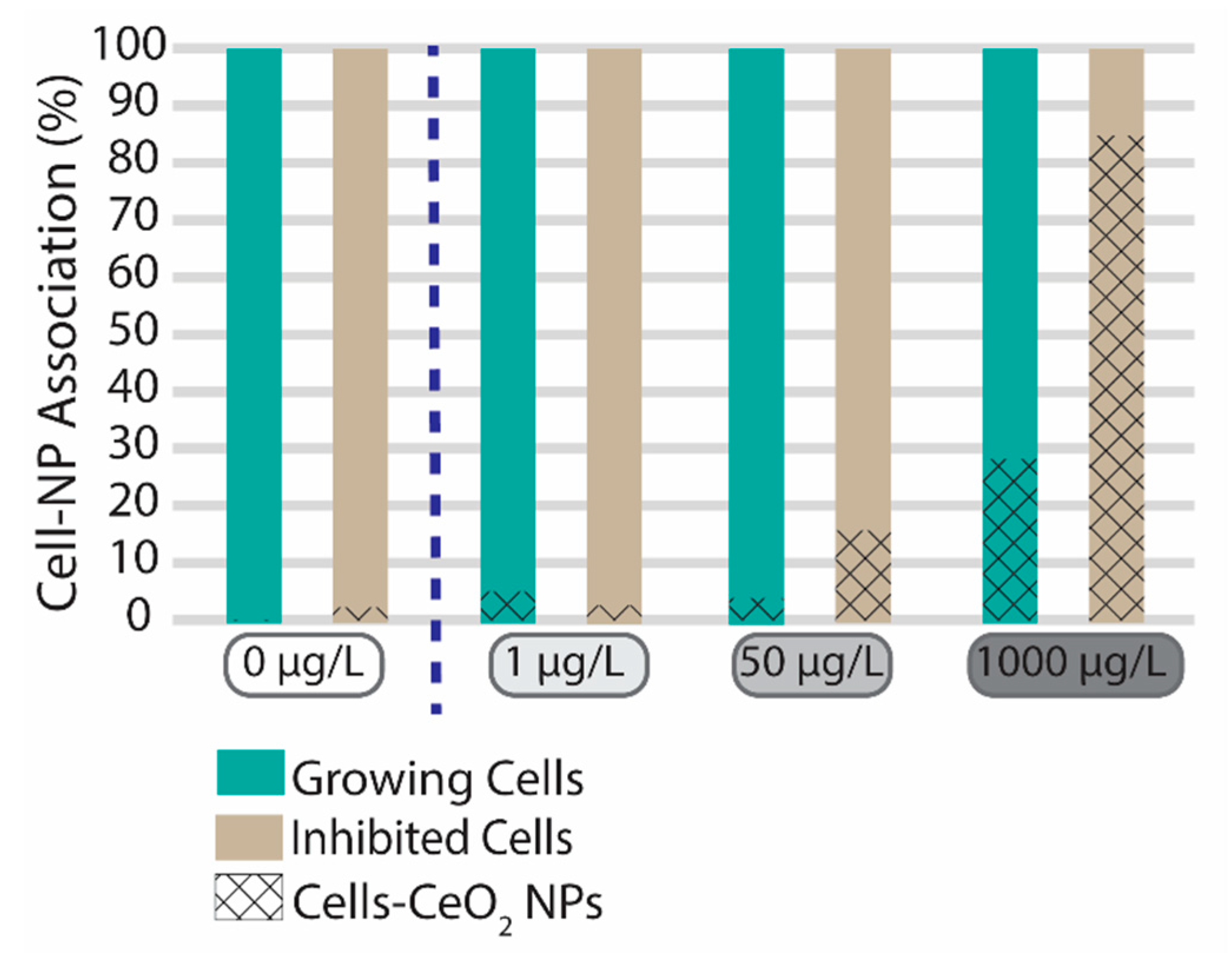 Nanomaterials 13 02468 g003