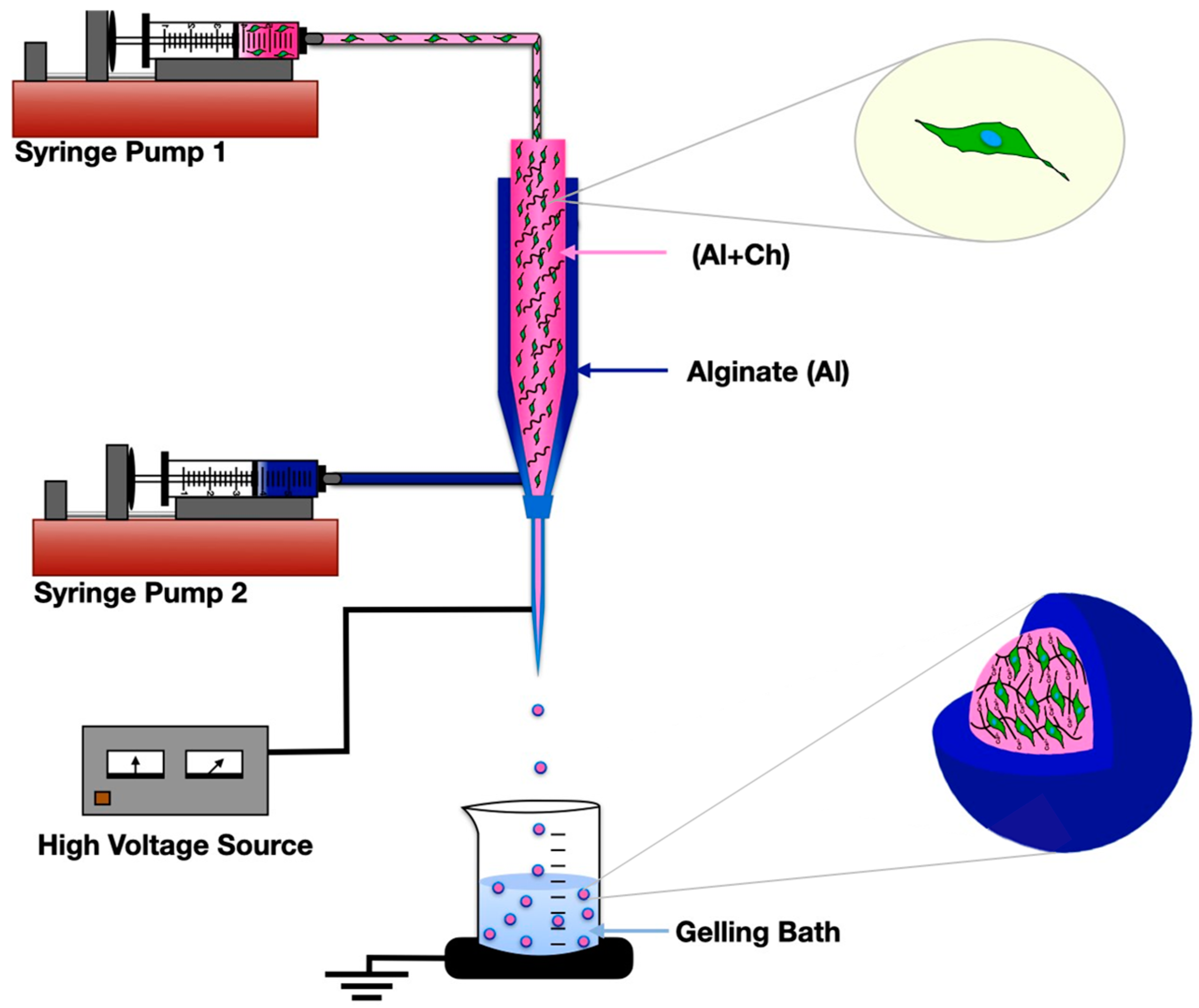 Nanomaterials 13 02470 g001