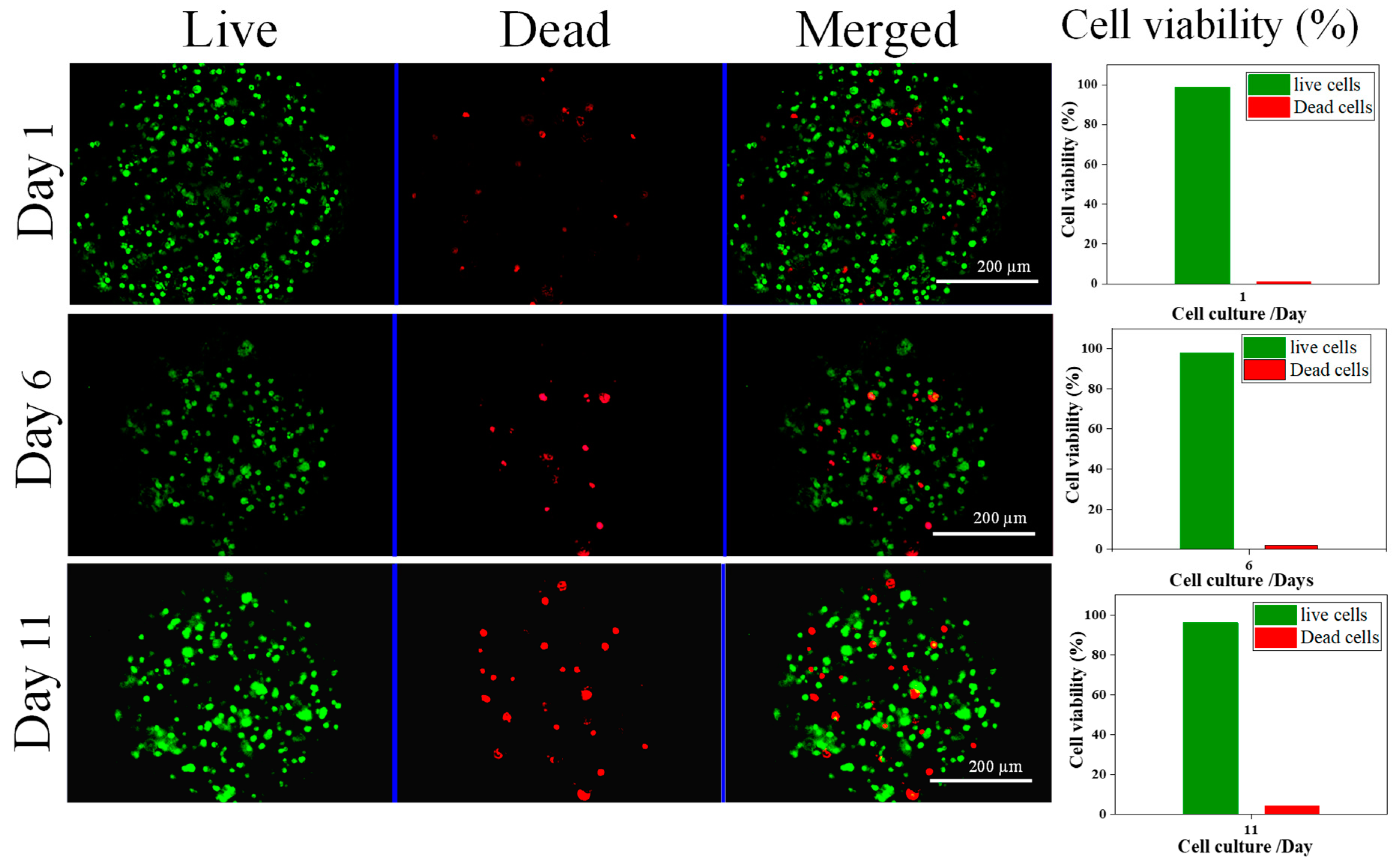 Nanomaterials 13 02470 g008