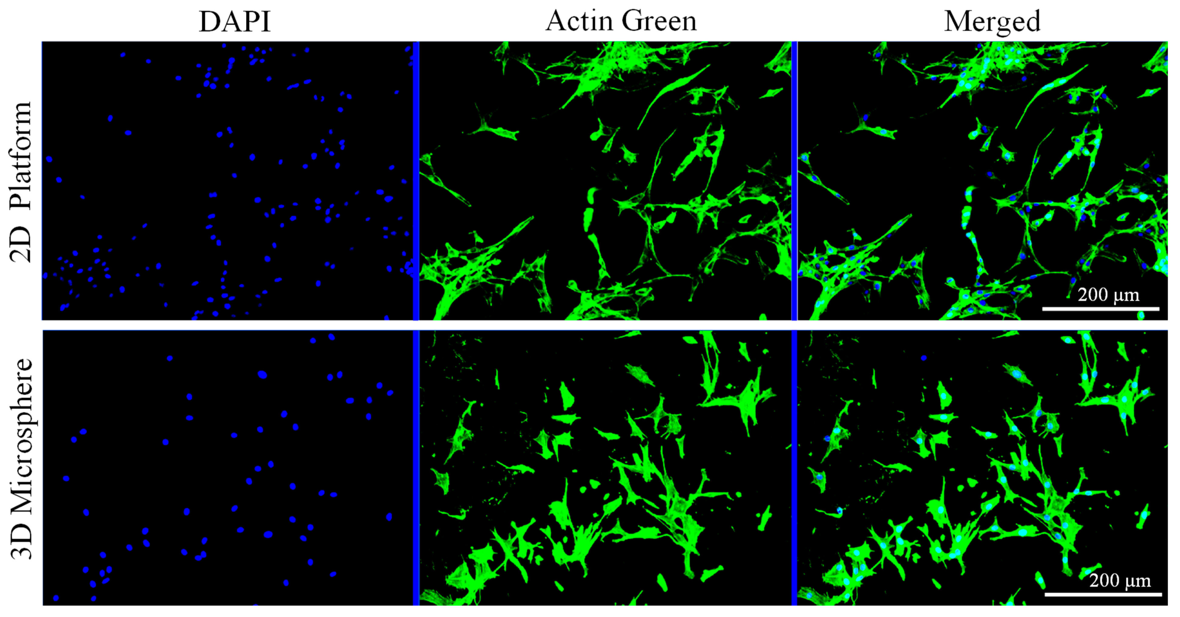 Nanomaterials 13 02470 g009