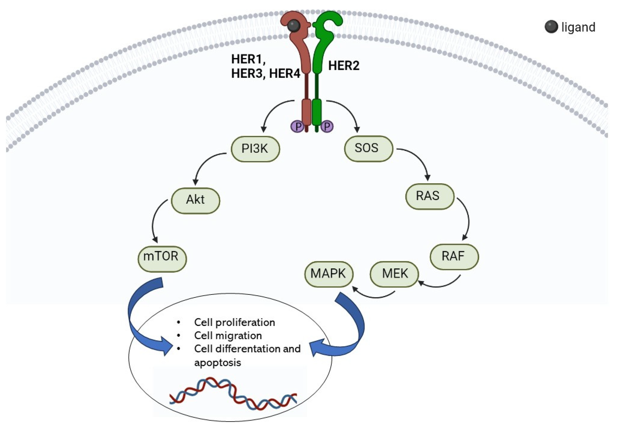 Nanomaterials 13 02476 g002