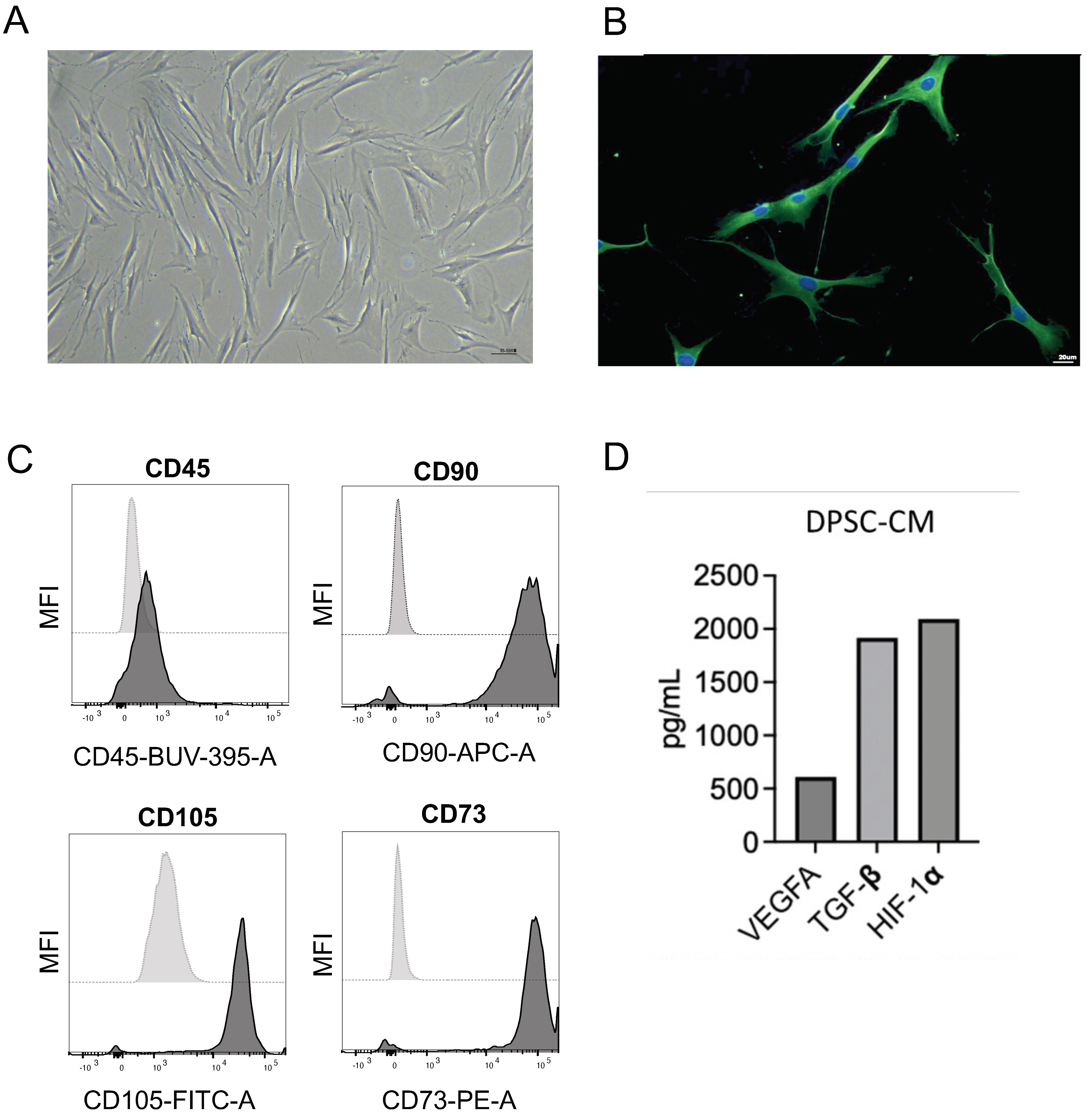 Nanomaterials 13 02479 g001
