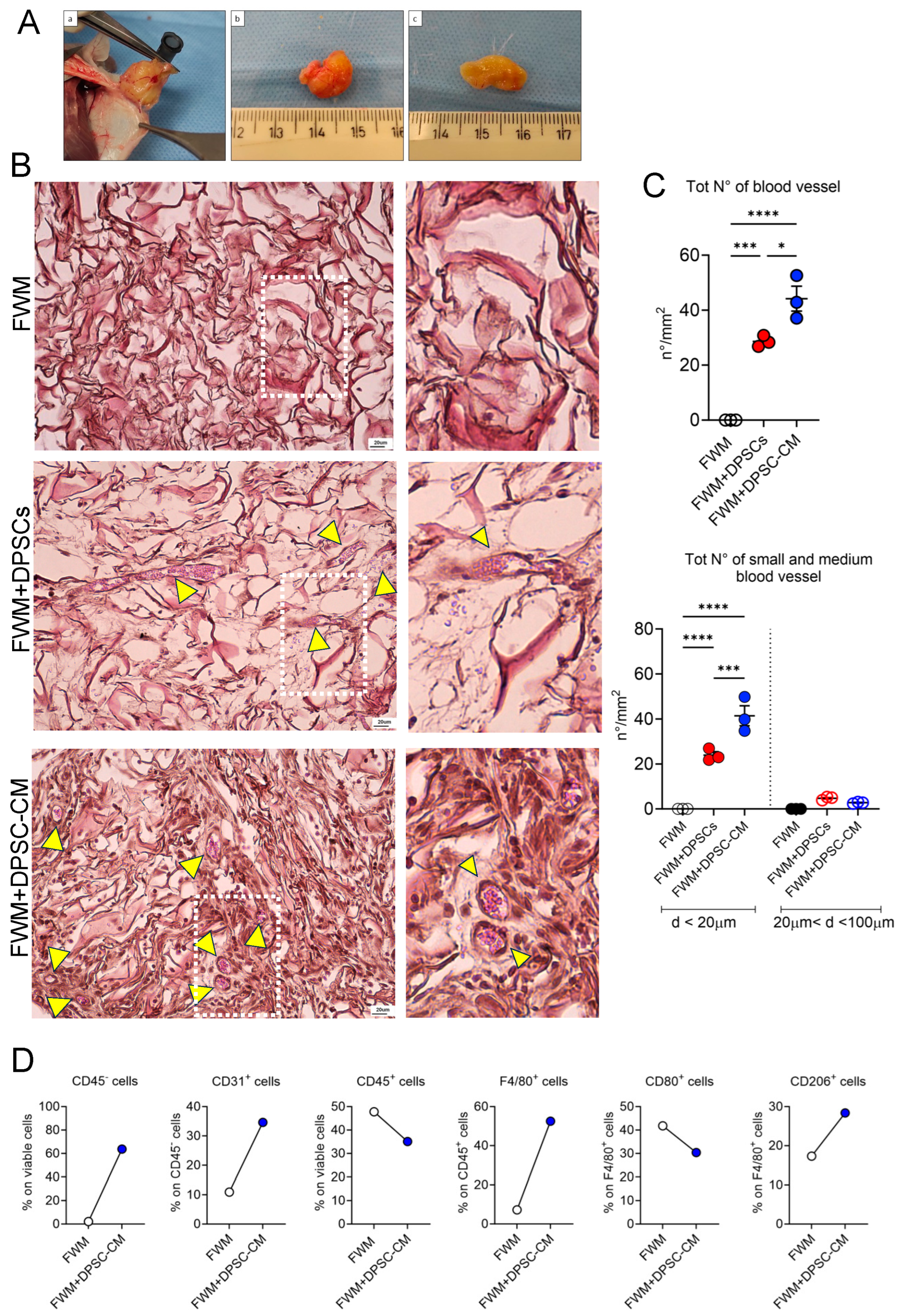 Nanomaterials 13 02479 g002