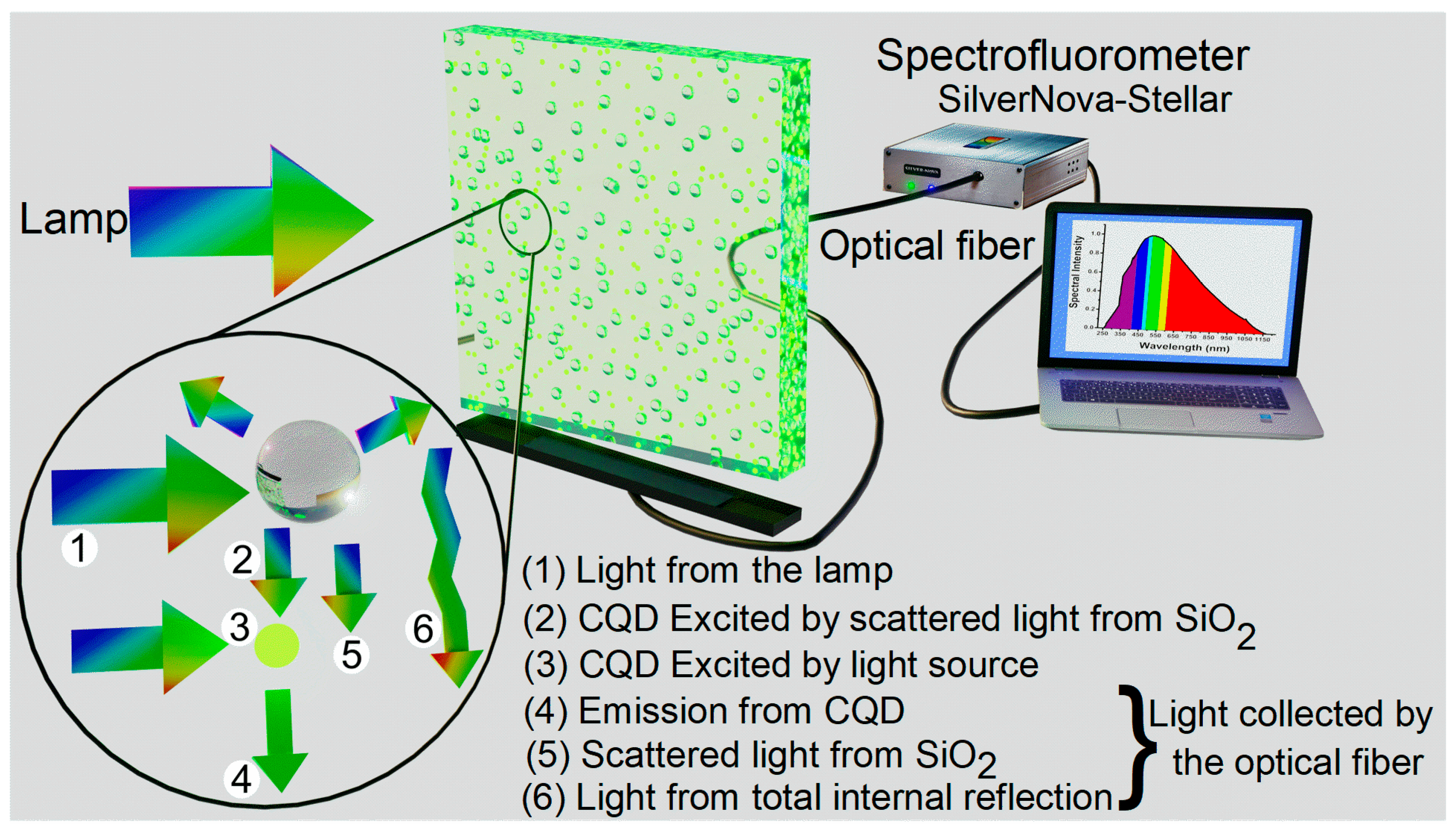 Nanomaterials 13 02480 g001