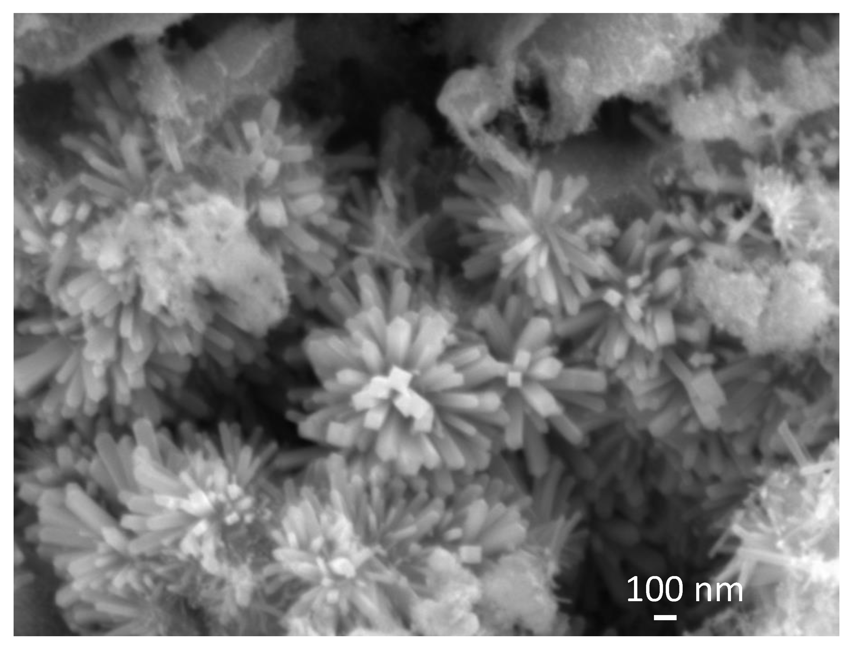 Nanomaterials 13 02481 g004