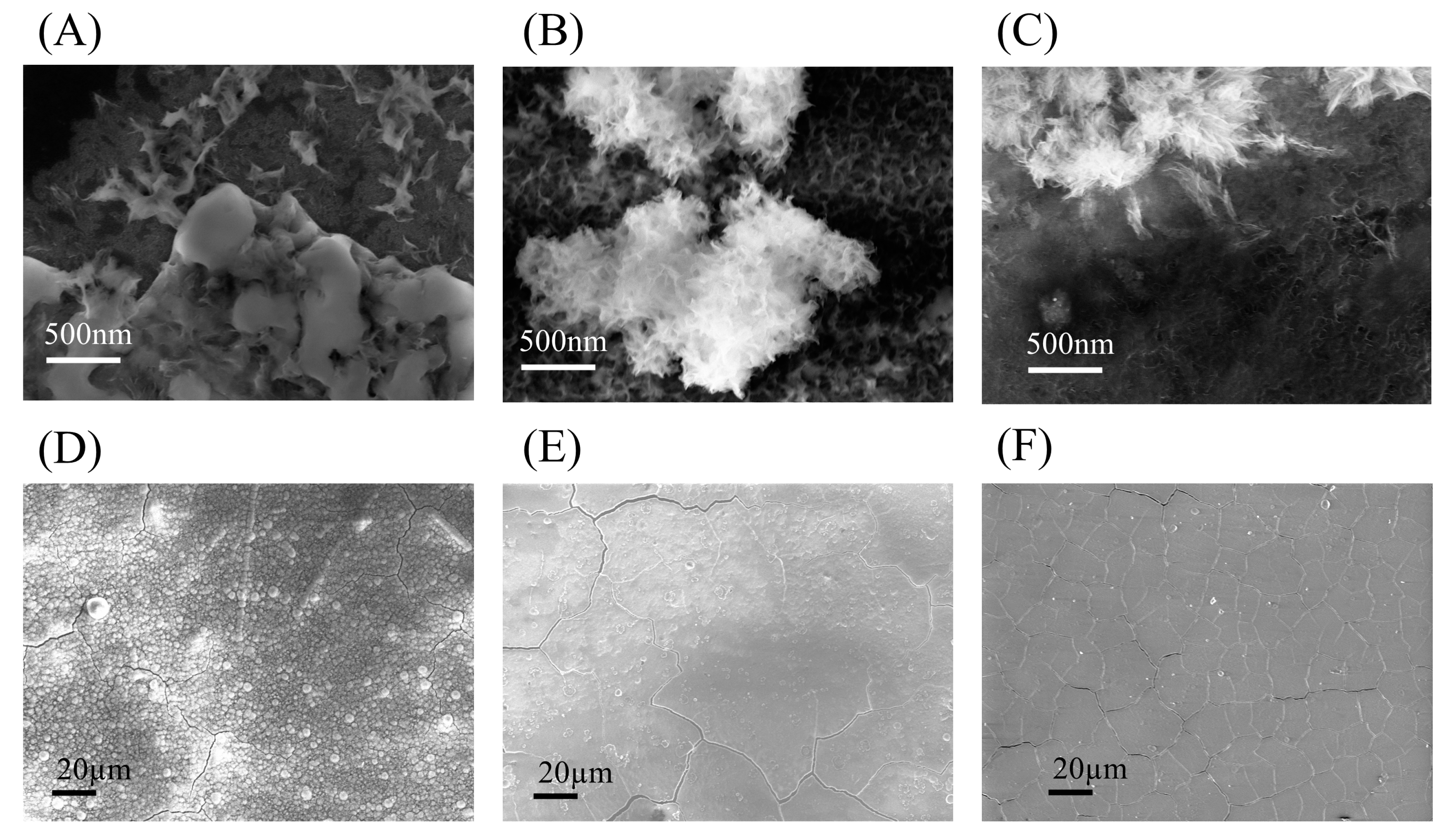 Nanomaterials 13 02483 g003