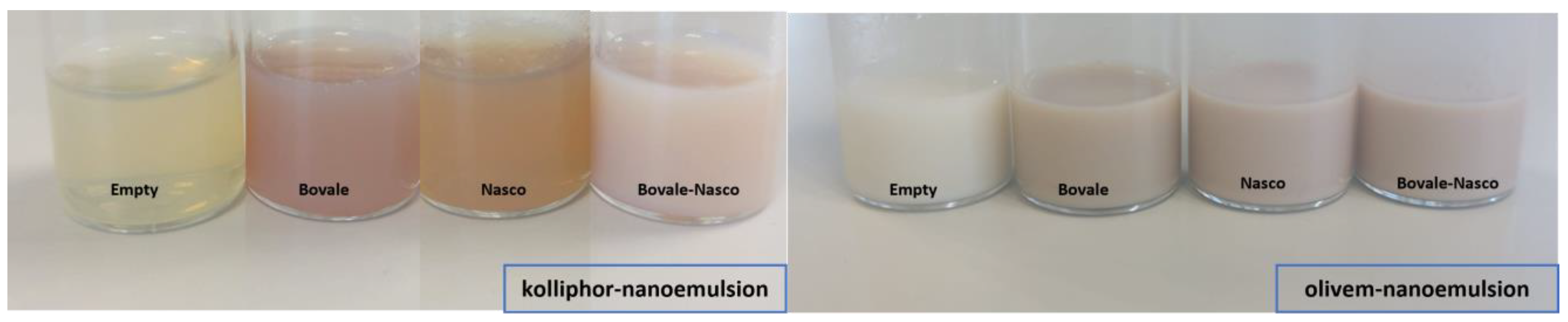Nanomaterials 13 02485 g002