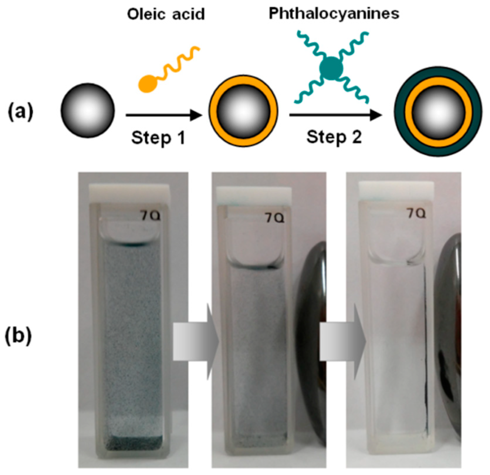 Nanomaterials 13 02486 g004