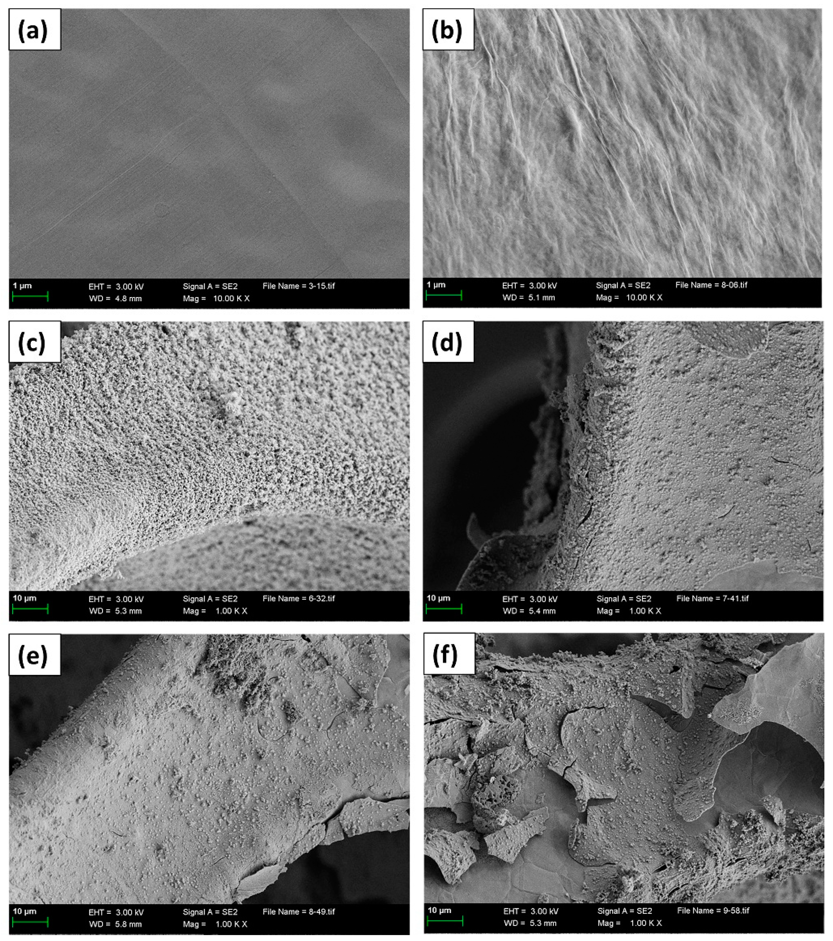 Nanomaterials 13 02487 g002
