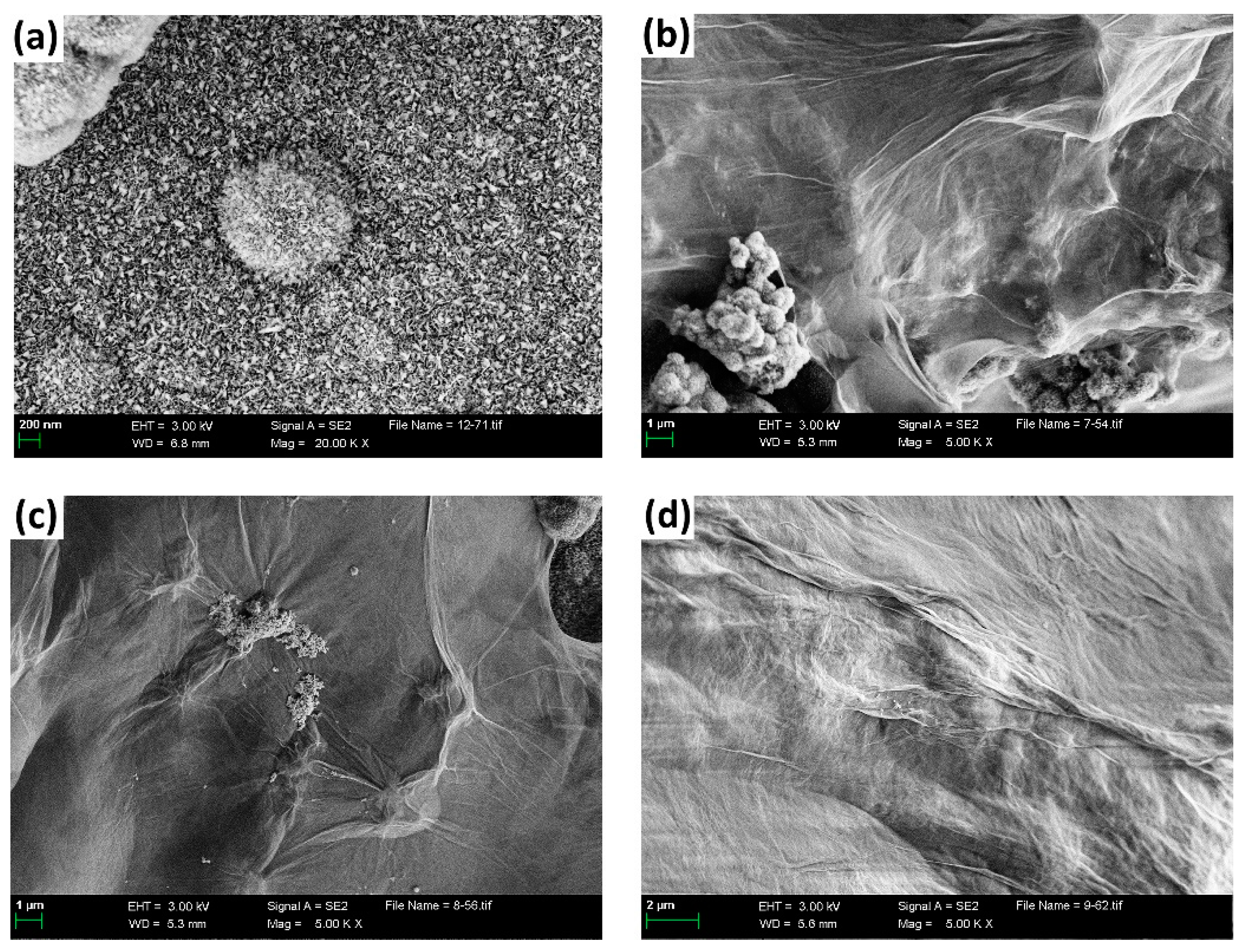 Nanomaterials 13 02487 g006