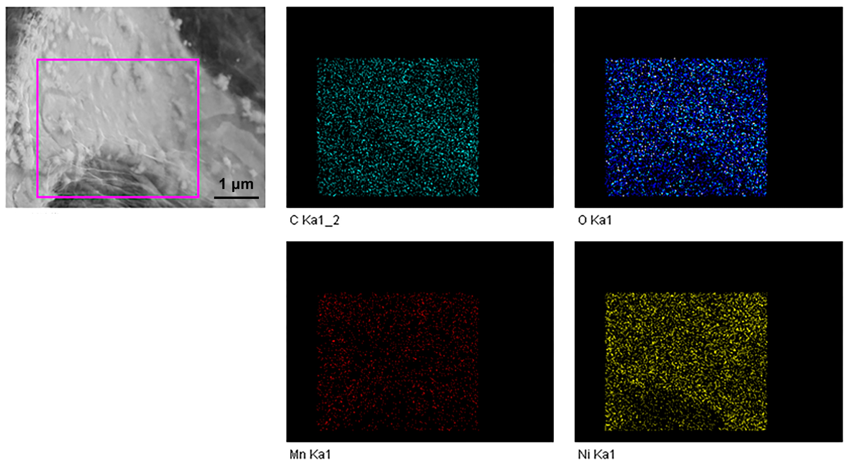 Nanomaterials 13 02487 g007